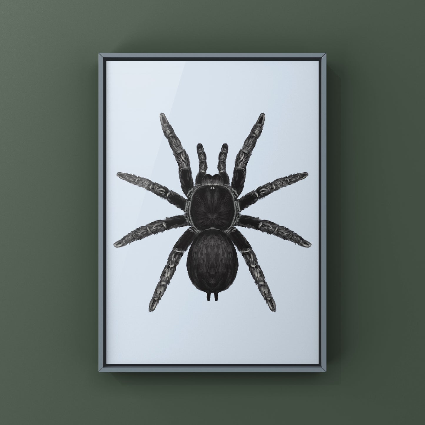 Brazilian Black Tarantula, Grammostola Pulchra, Photographic Art Print