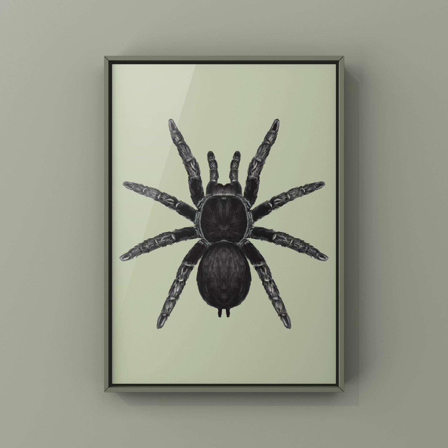 Brazilian Black Tarantula, Grammostola Pulchra, Photographic Art Print