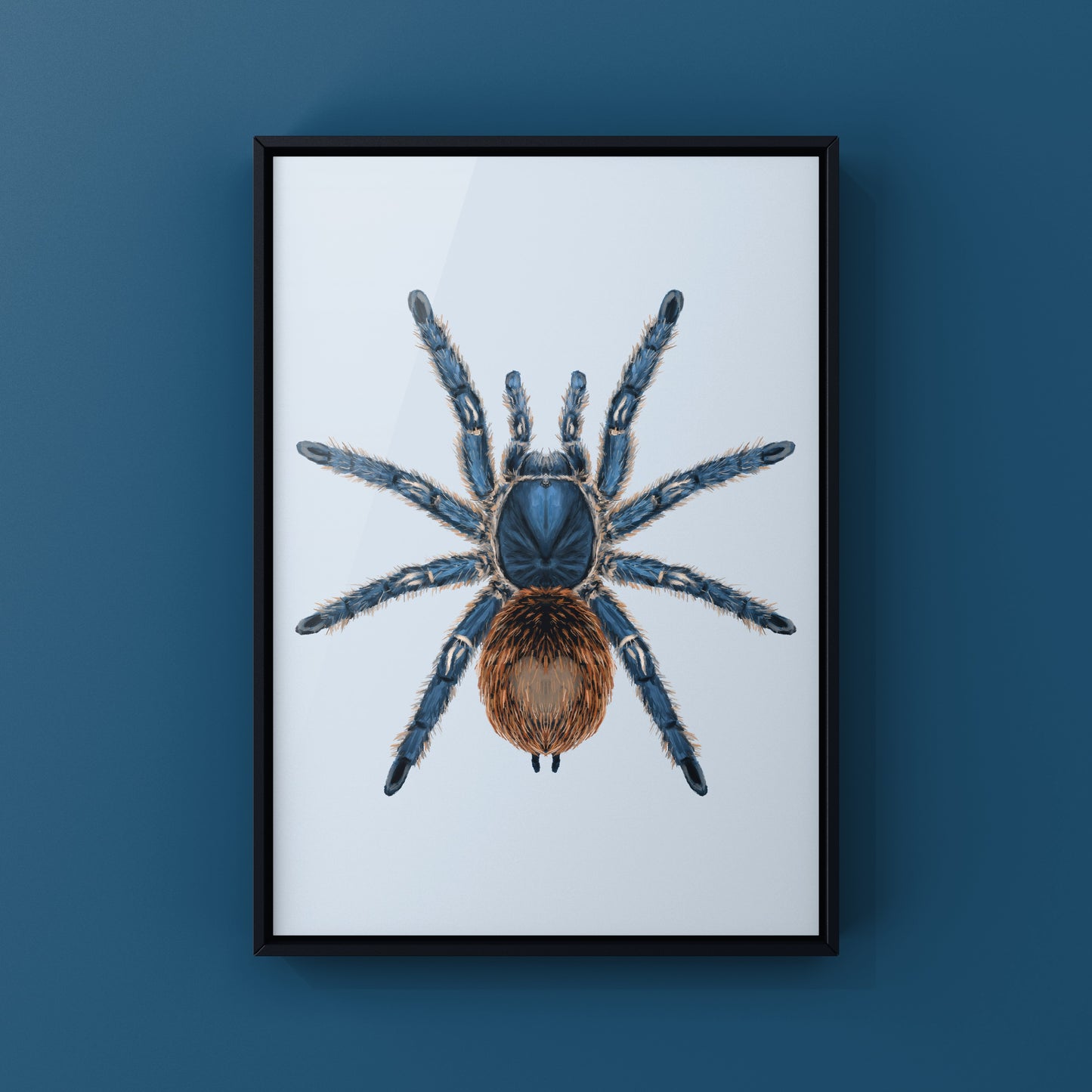 Cobalt Red Tarantula, Thrixopelma Cyaneolum, Photographic Art Print