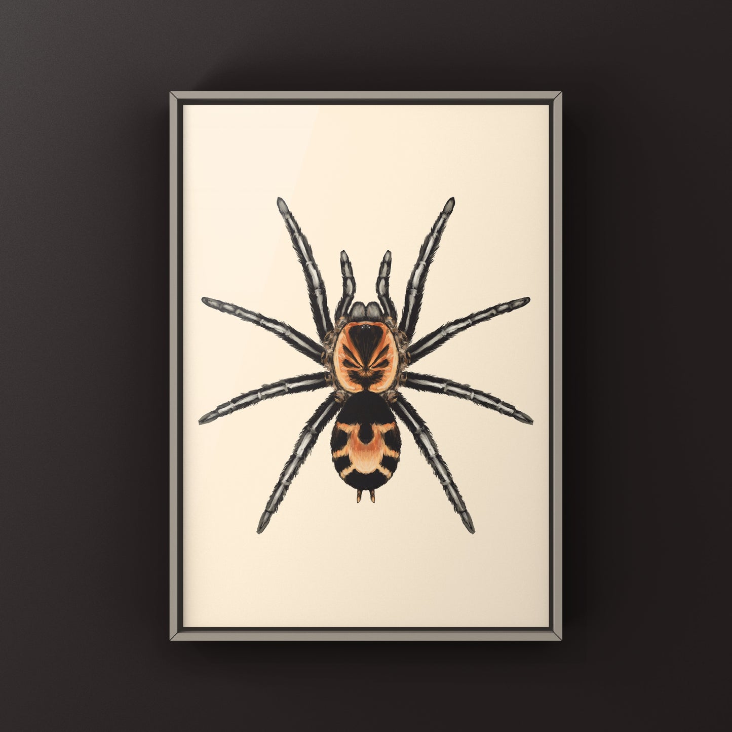 Columbian Dwarf Tarantula, Cyriocosmus Leetzi, Photographic Art Print