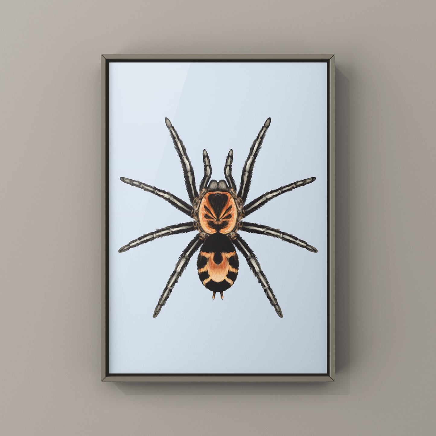 Columbian Dwarf Tarantula, Cyriocosmus Leetzi, Photographic Art Print