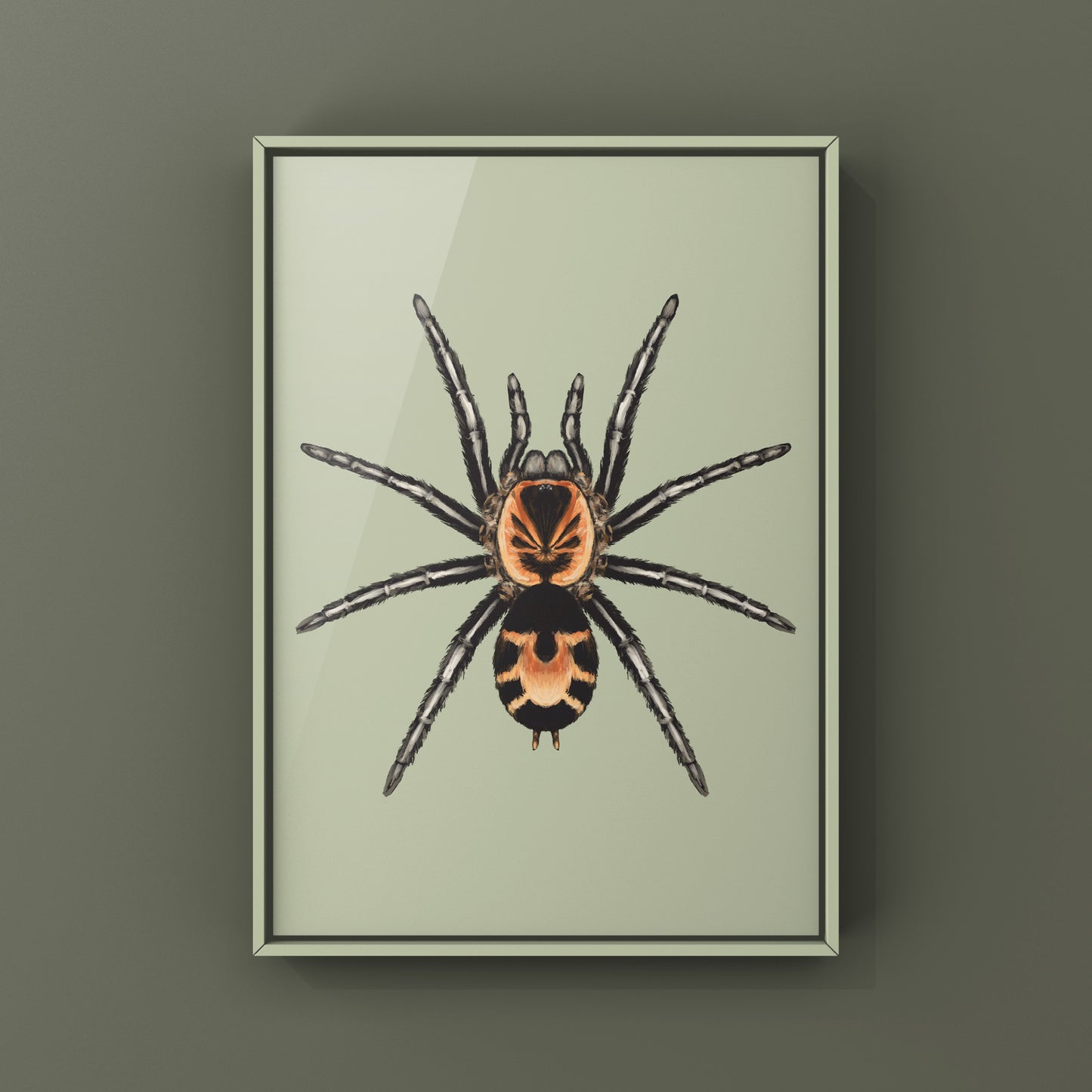 Columbian Dwarf Tarantula, Cyriocosmus Leetzi, Photographic Art Print