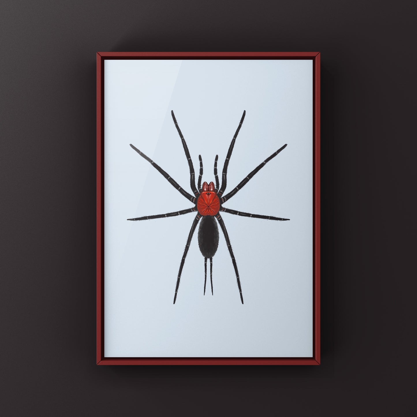 Devil’s Curtain Web Spider, Harmonicon Oiapoqueae, Photographic Art Print