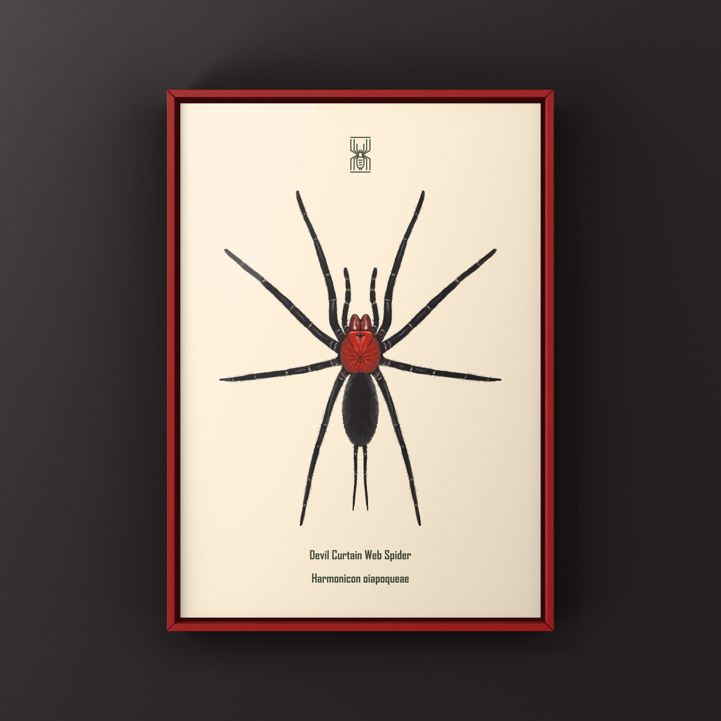 Devil’s Curtain Web Spider, Harmonicon Oiapoqueae, Photographic Art Print