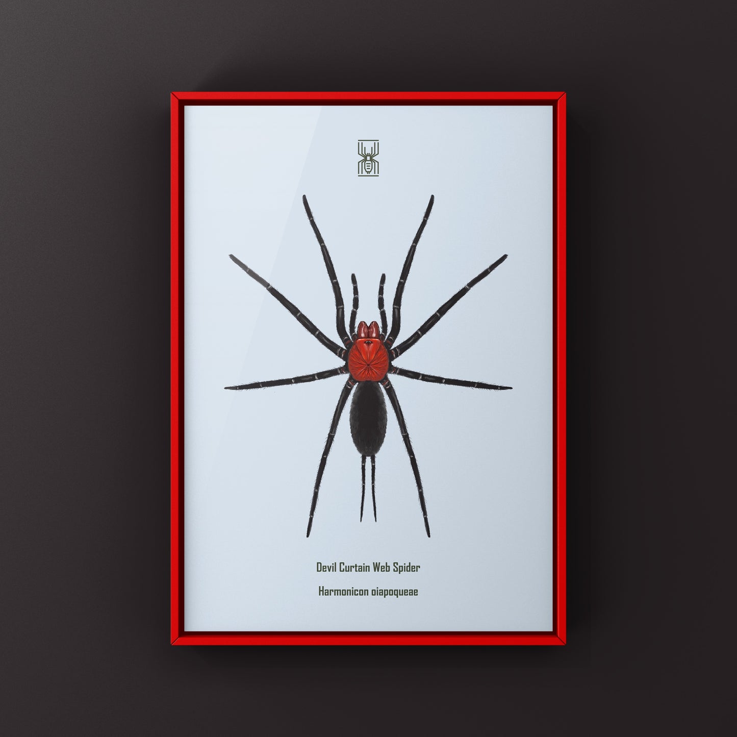 Devil’s Curtain Web Spider, Harmonicon Oiapoqueae, Photographic Art Print