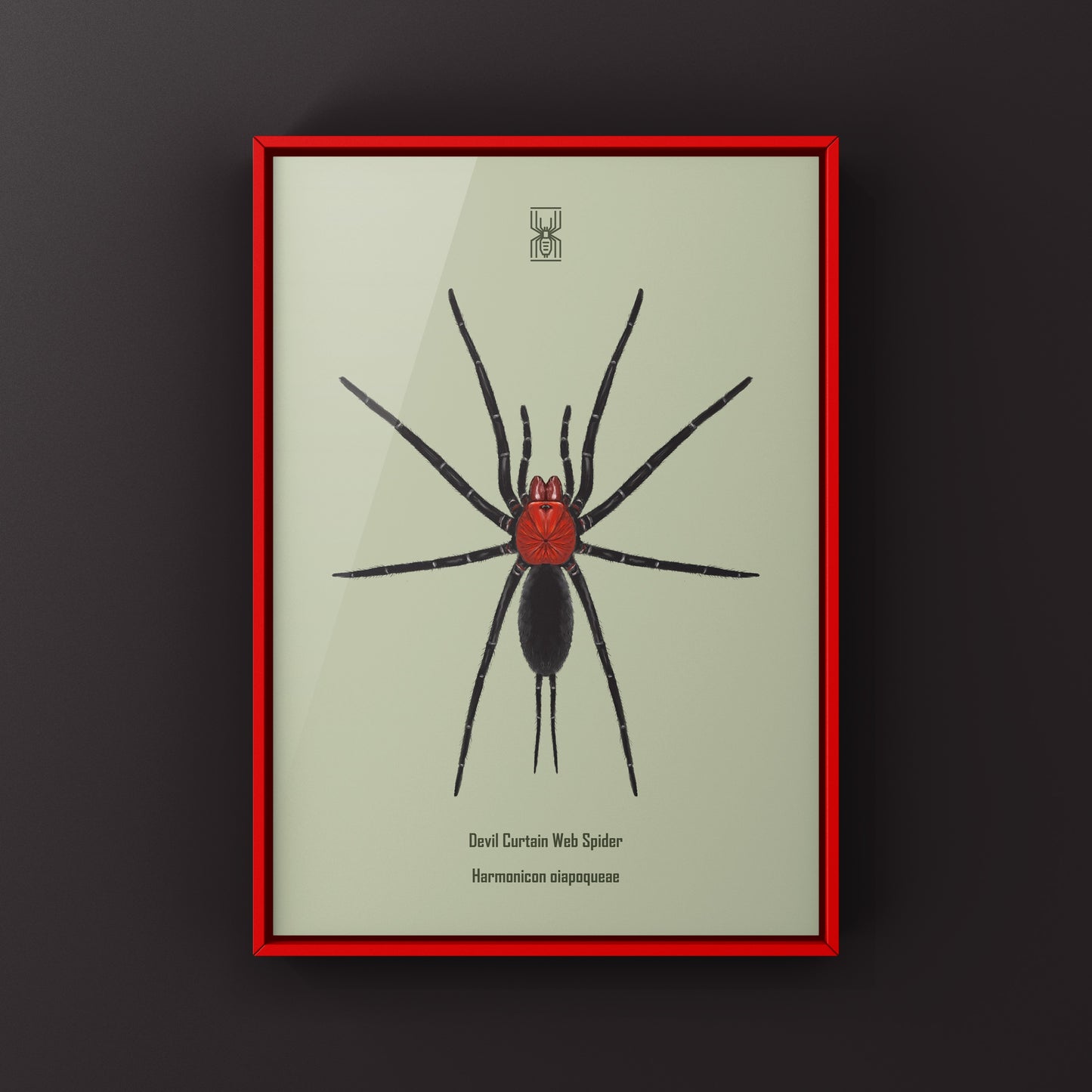 Devil’s Curtain Web Spider, Harmonicon Oiapoqueae, Photographic Art Print