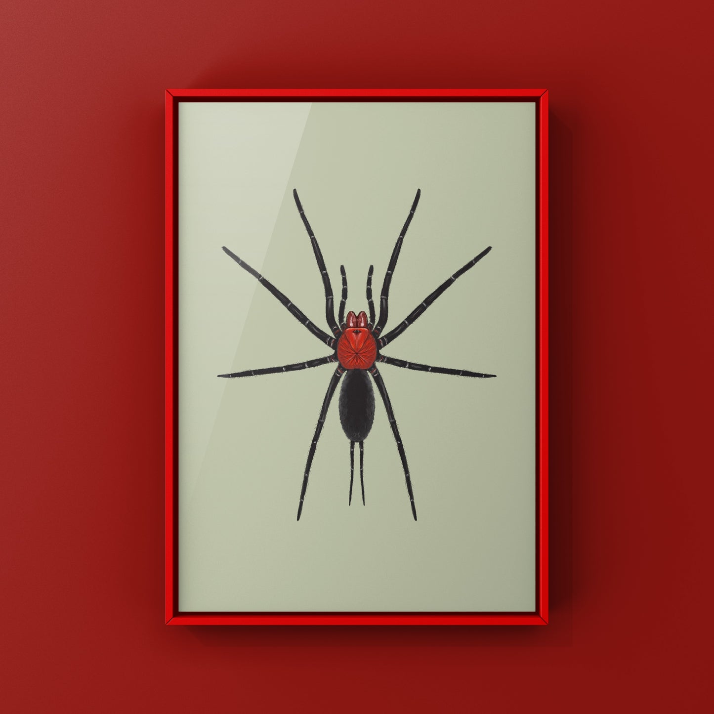 Devil’s Curtain Web Spider, Harmonicon Oiapoqueae, Photographic Art Print