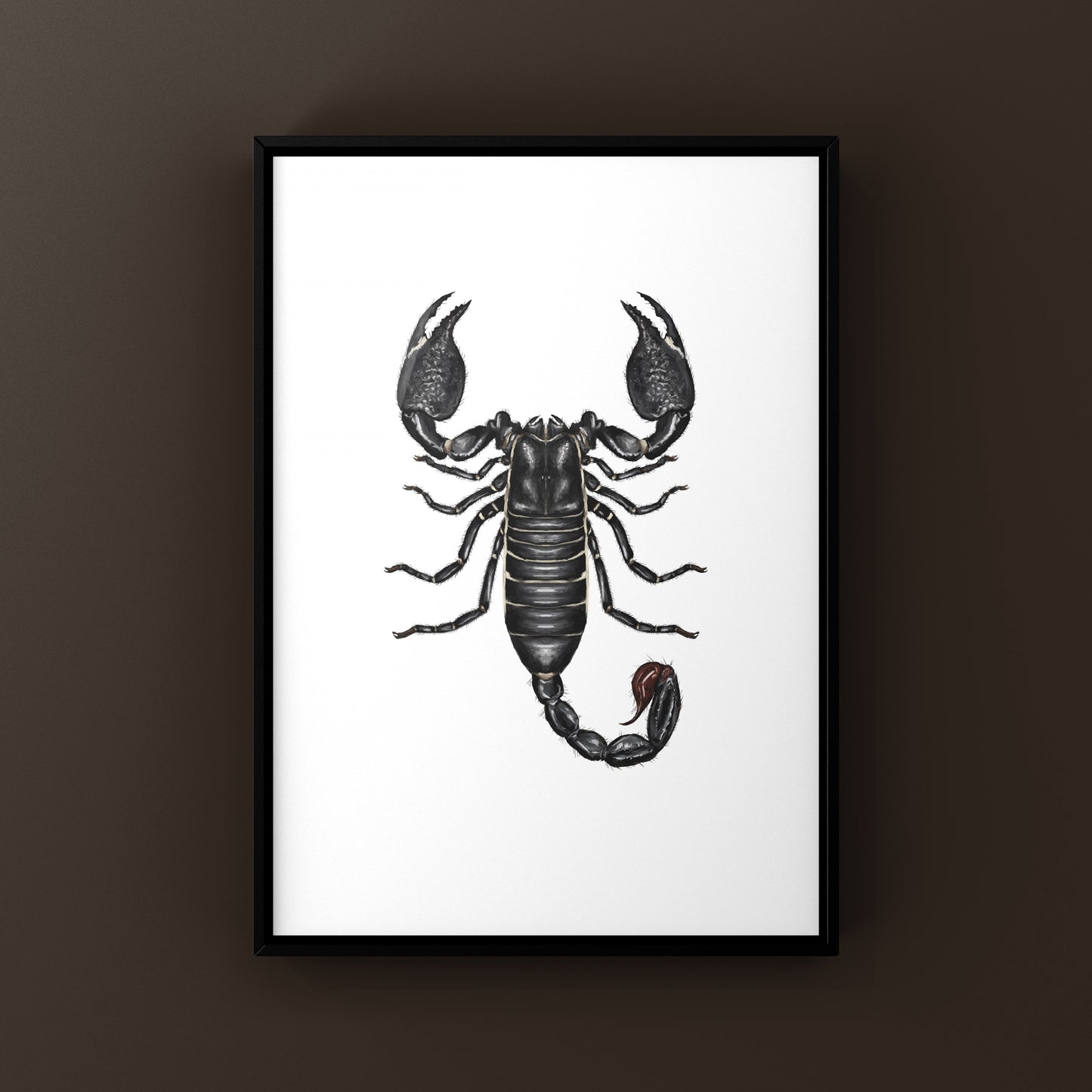 Emperor Scorpion, Pandinus Imperator, Photographic Art Print