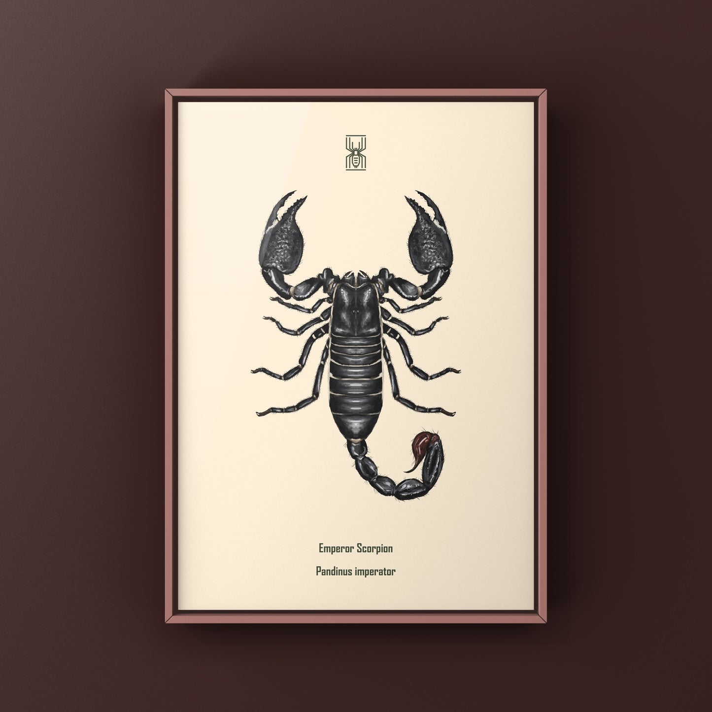 Emperor Scorpion, Pandinus Imperator, Photographic Art Print