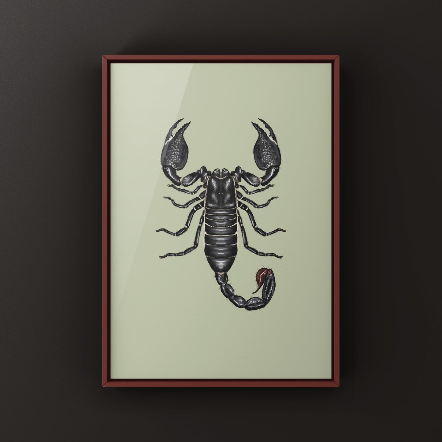 Emperor Scorpion, Pandinus Imperator, Photographic Art Print