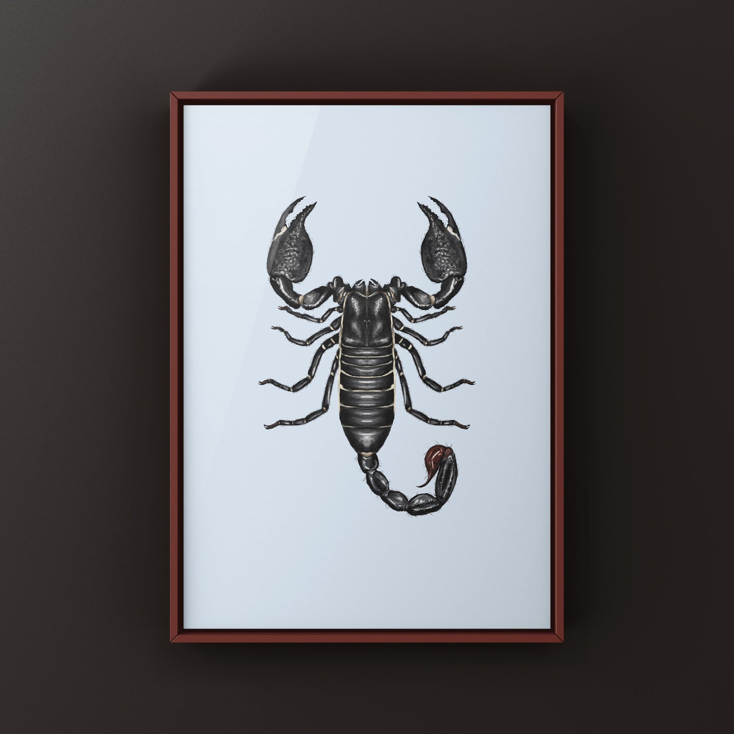 Emperor Scorpion, Pandinus Imperator, Photographic Art Print