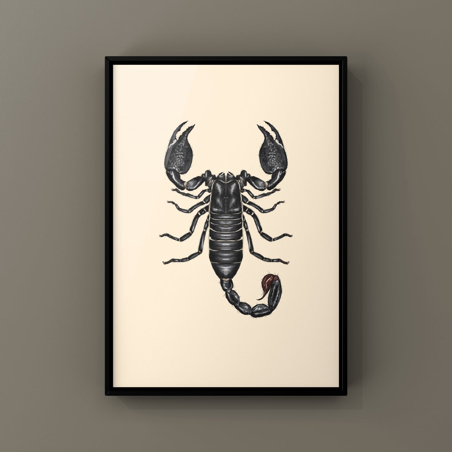 Emperor Scorpion, Pandinus Imperator, Photographic Art Print