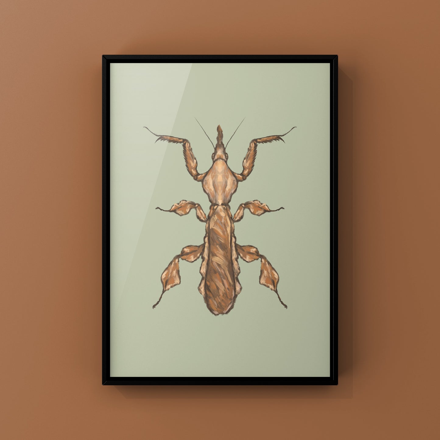 Ghost Mantis, Phyllocrania Paradoxa, Photographic Art Print