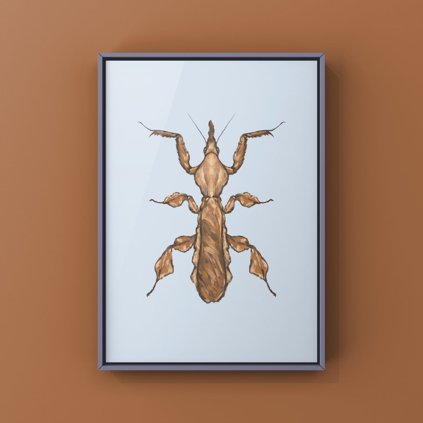 Ghost Mantis, Phyllocrania Paradoxa, Photographic Art Print