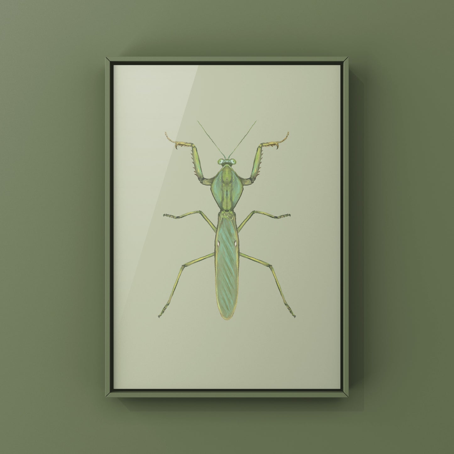 Giant Malaysian Shield Mantis, Rhombohedra Basalis, Photographic Art Print