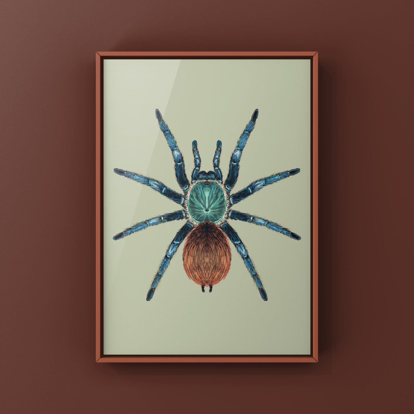 Green Bottle Blue Tarantula, Chromatopelma Cyaneopubescens, Photographic Art Print from The Silk Ranch