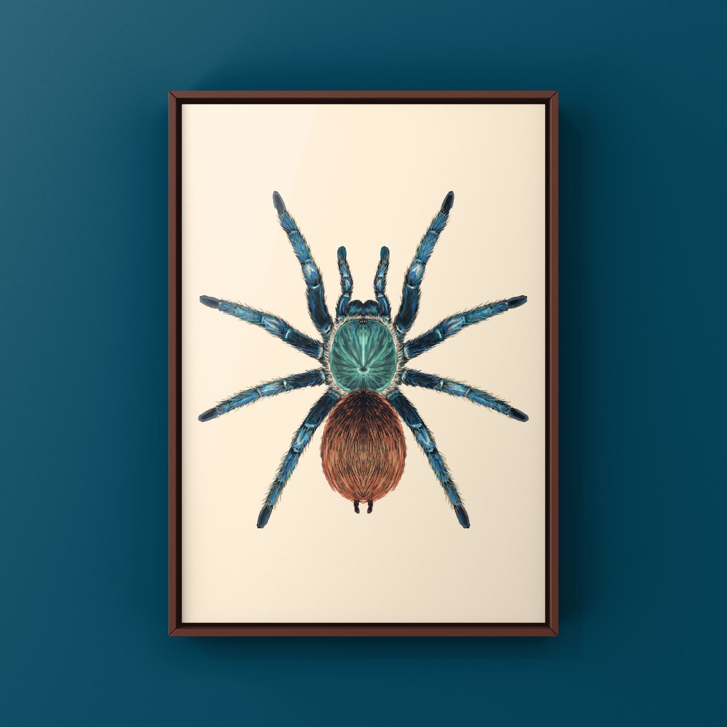 Green Bottle Blue Tarantula, Chromatopelma Cyaneopubescens, Photographic Art Print from The Silk Ranch
