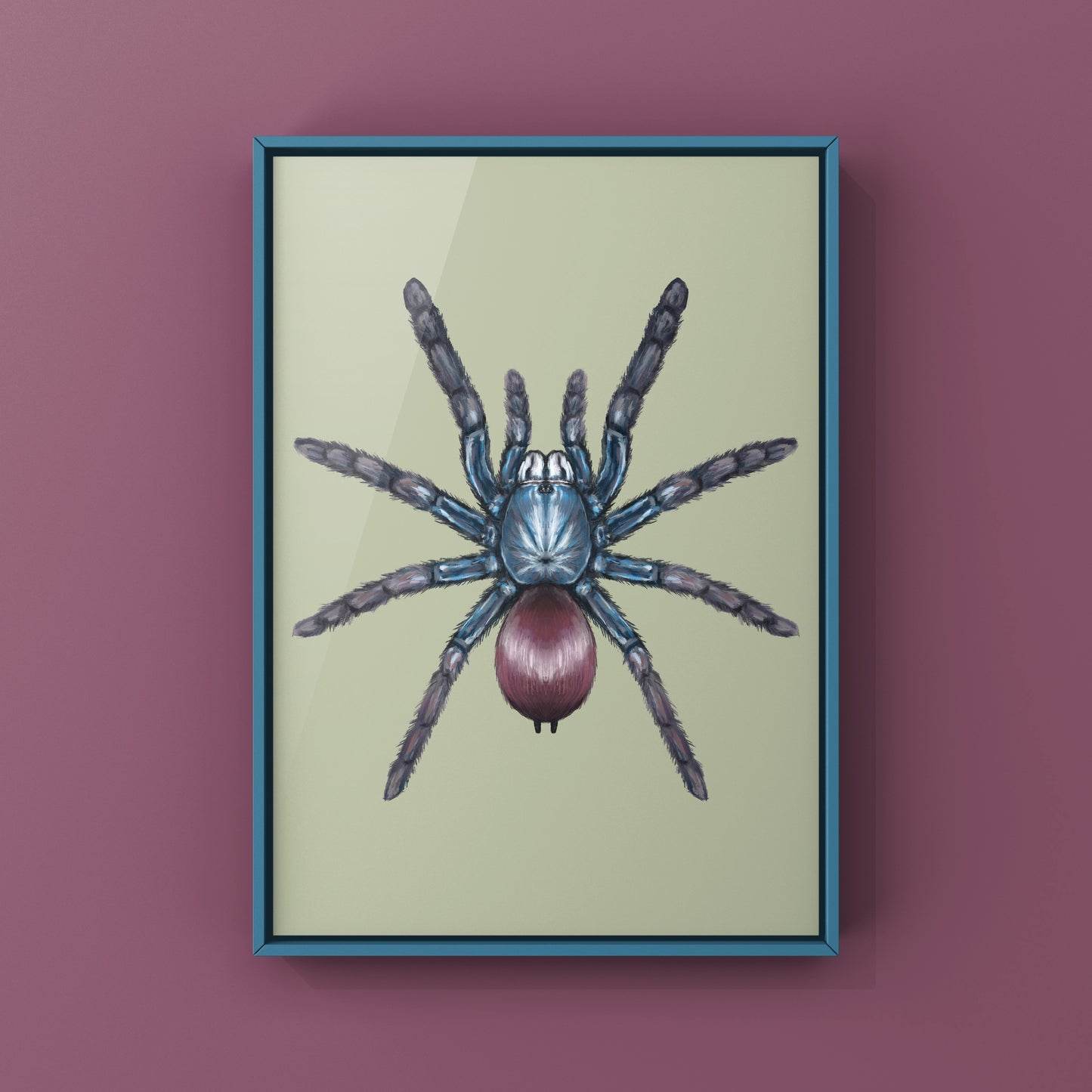 Indian Rainbow LSD Tarantula, Cilantica Devamatha, Photographic Art Print