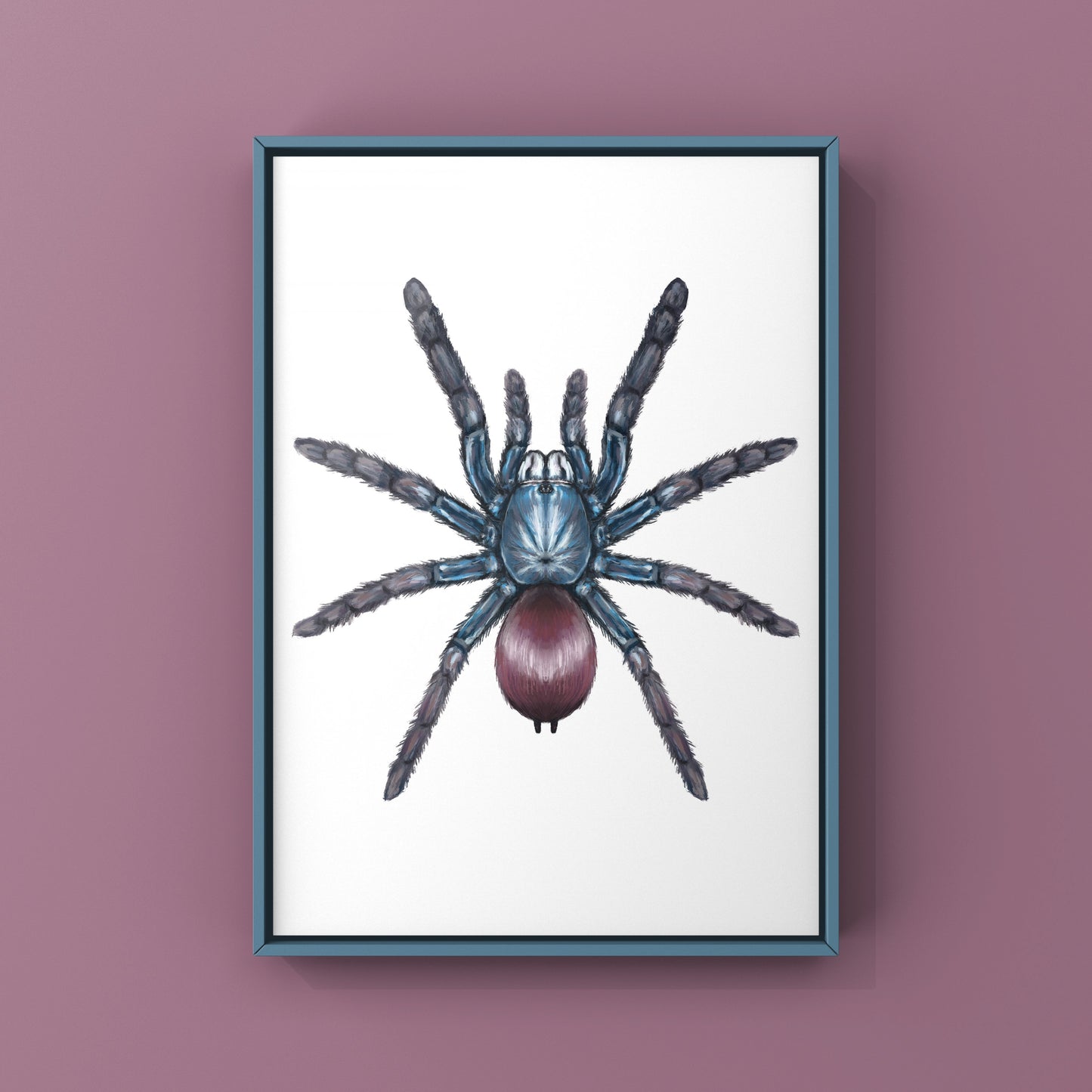 Indian Rainbow LSD Tarantula, Cilantica Devamatha, Photographic Art Print