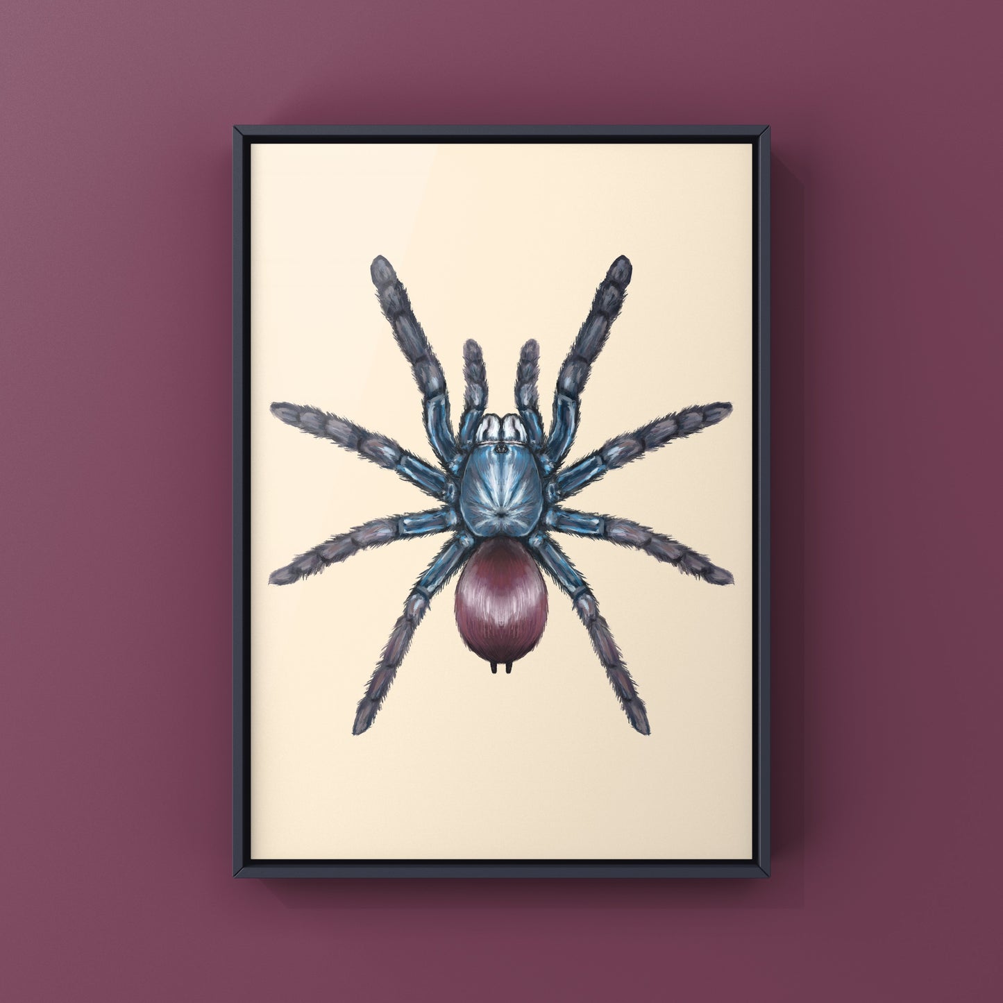 Indian Rainbow LSD Tarantula, Cilantica Devamatha, Photographic Art Print