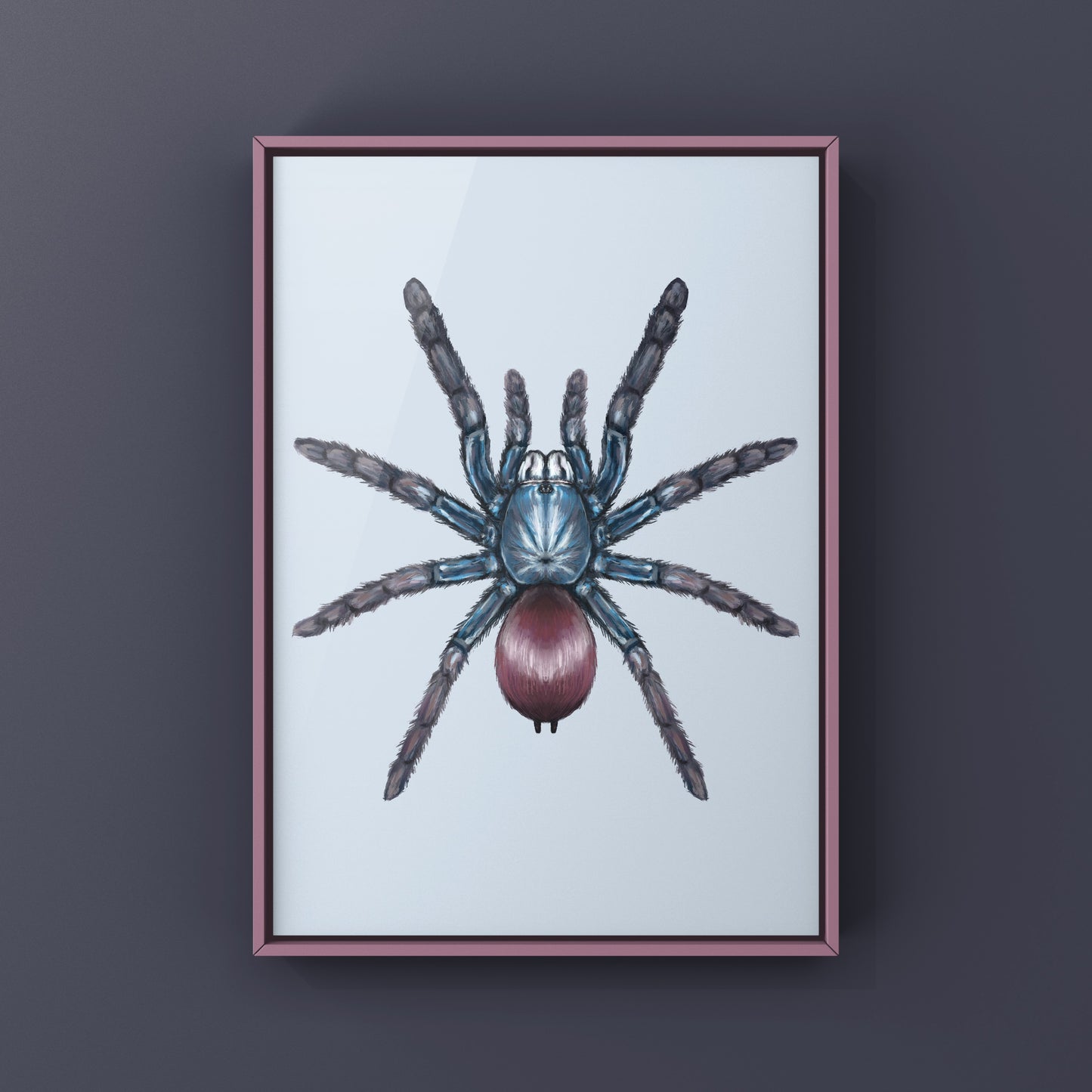 Indian Rainbow LSD Tarantula, Cilantica Devamatha, Photographic Art Print