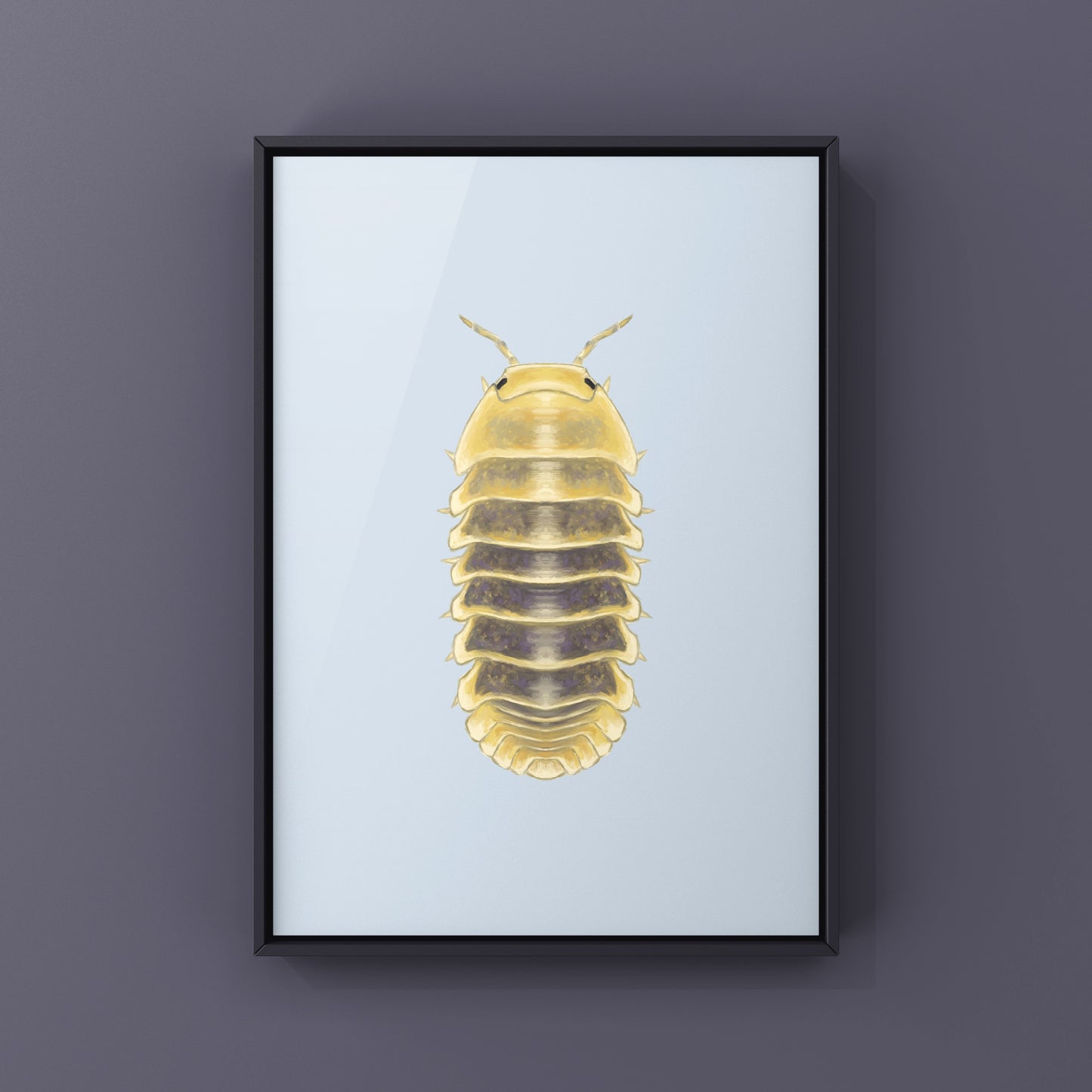 Jupiter Isopod, Cubaris sp. Jupiter, Photographic Art Print