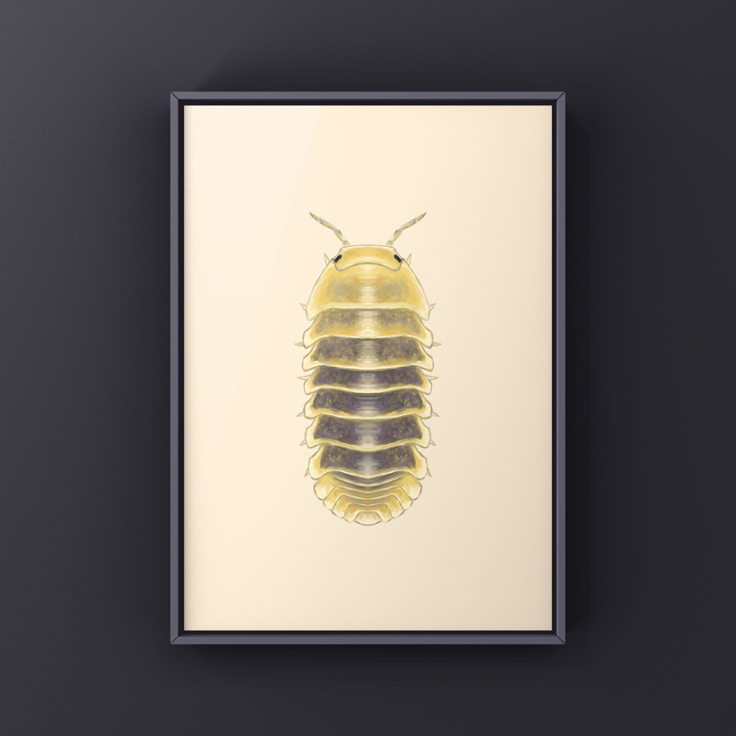 Jupiter Isopod, Cubaris sp. Jupiter, Photographic Art Print