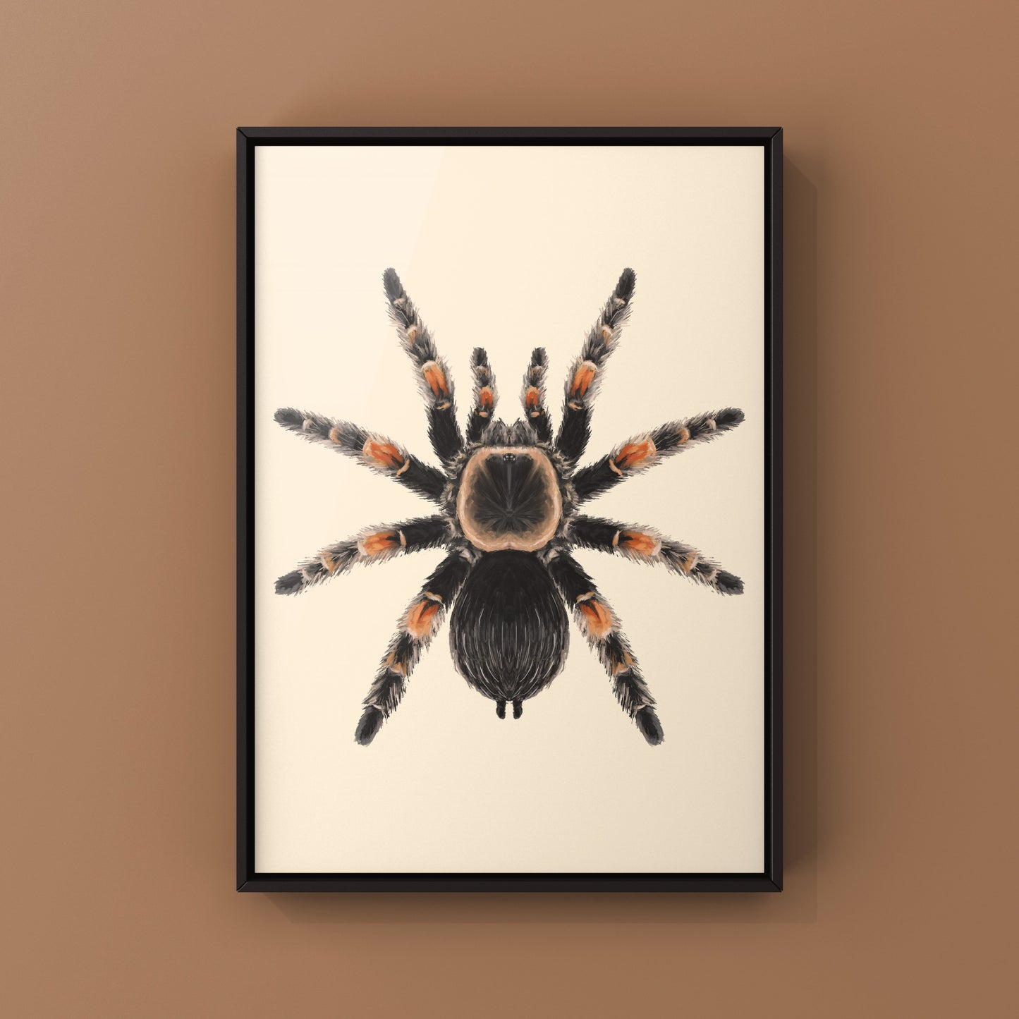 Mexcian Red Knee Tarantula, Brachypelma Hamorii, Photographic Art Print