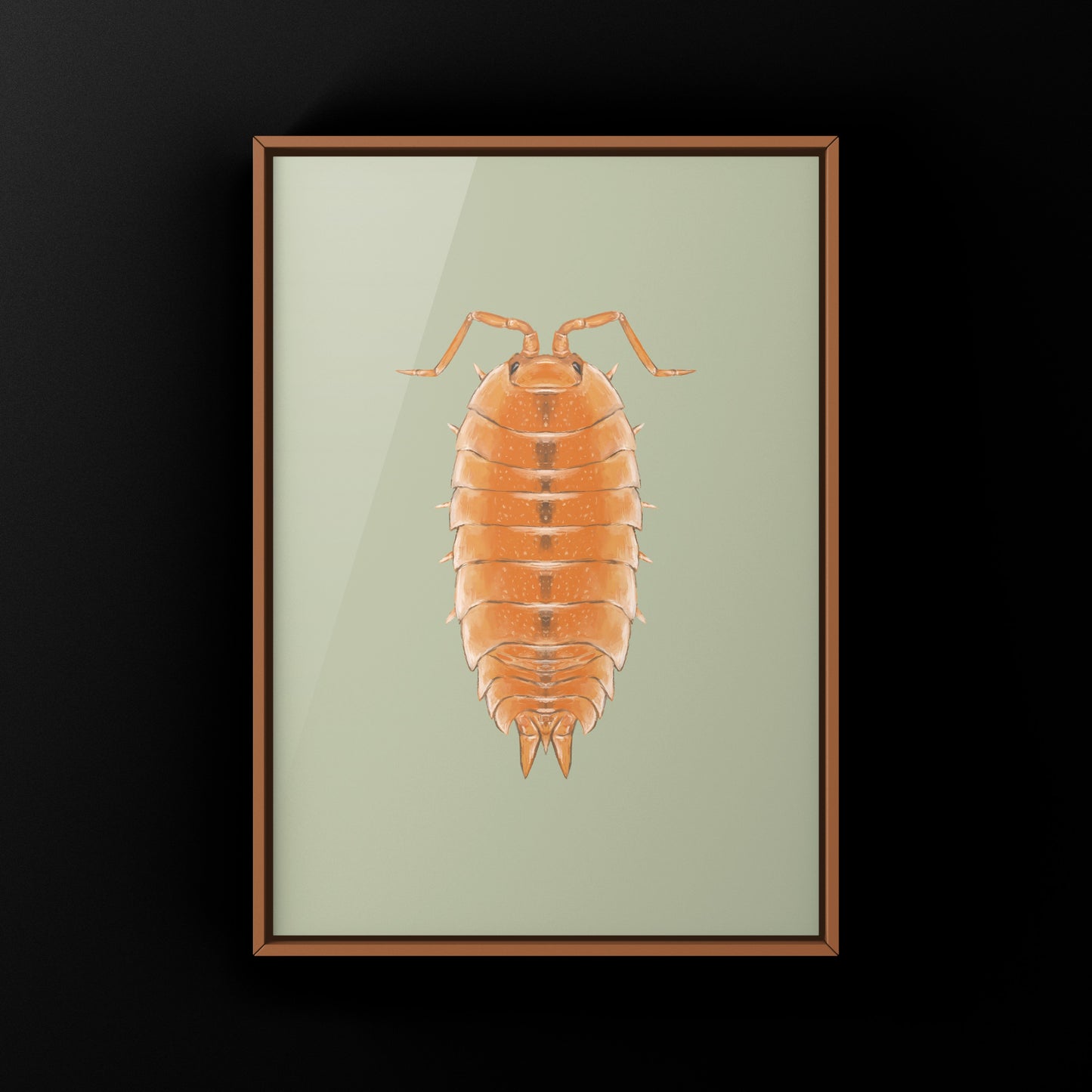 Orange Scaber Isopod, Porcellio Scaber Orange, Photographic Art Print