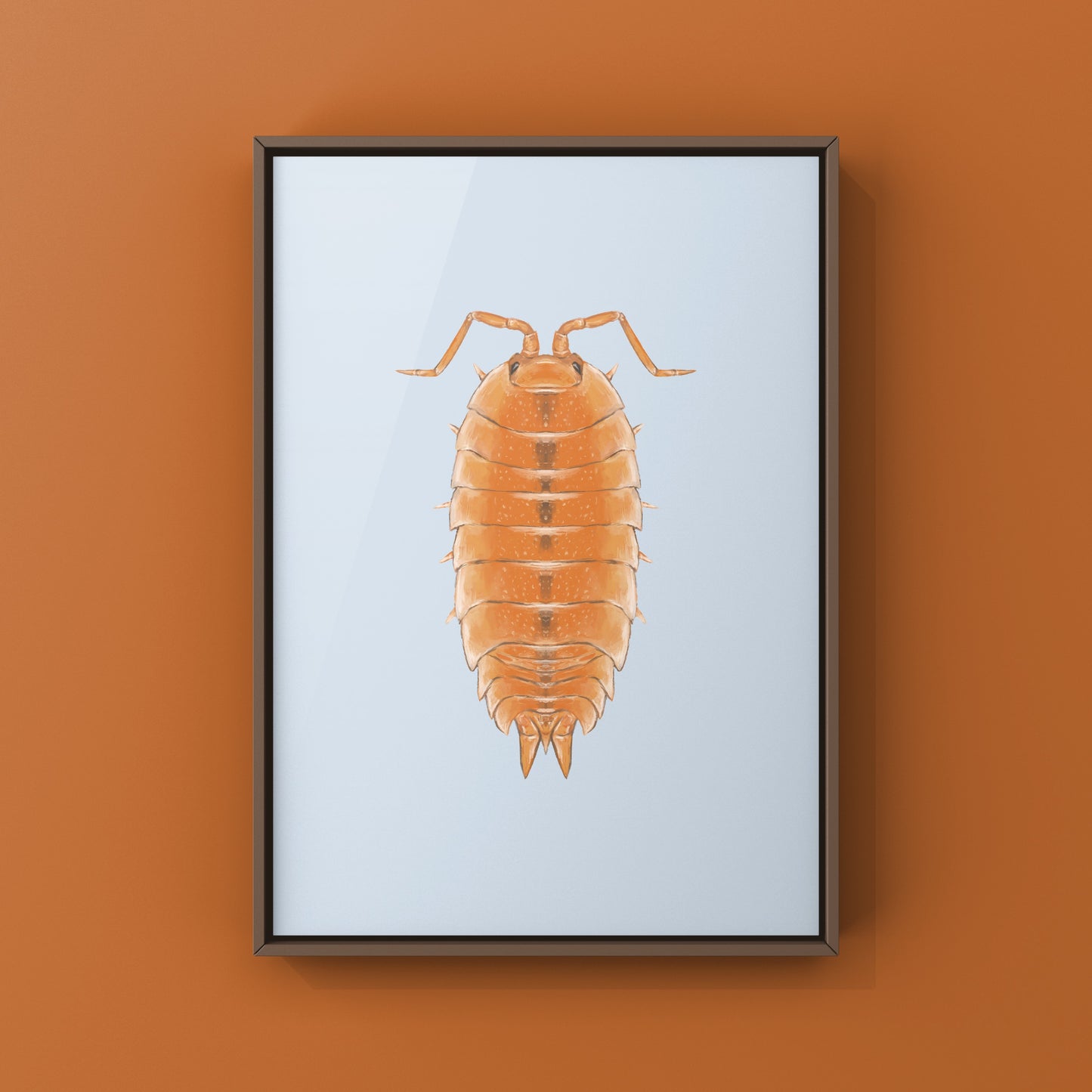 Orange Scaber Isopod, Porcellio Scaber Orange, Photographic Art Print