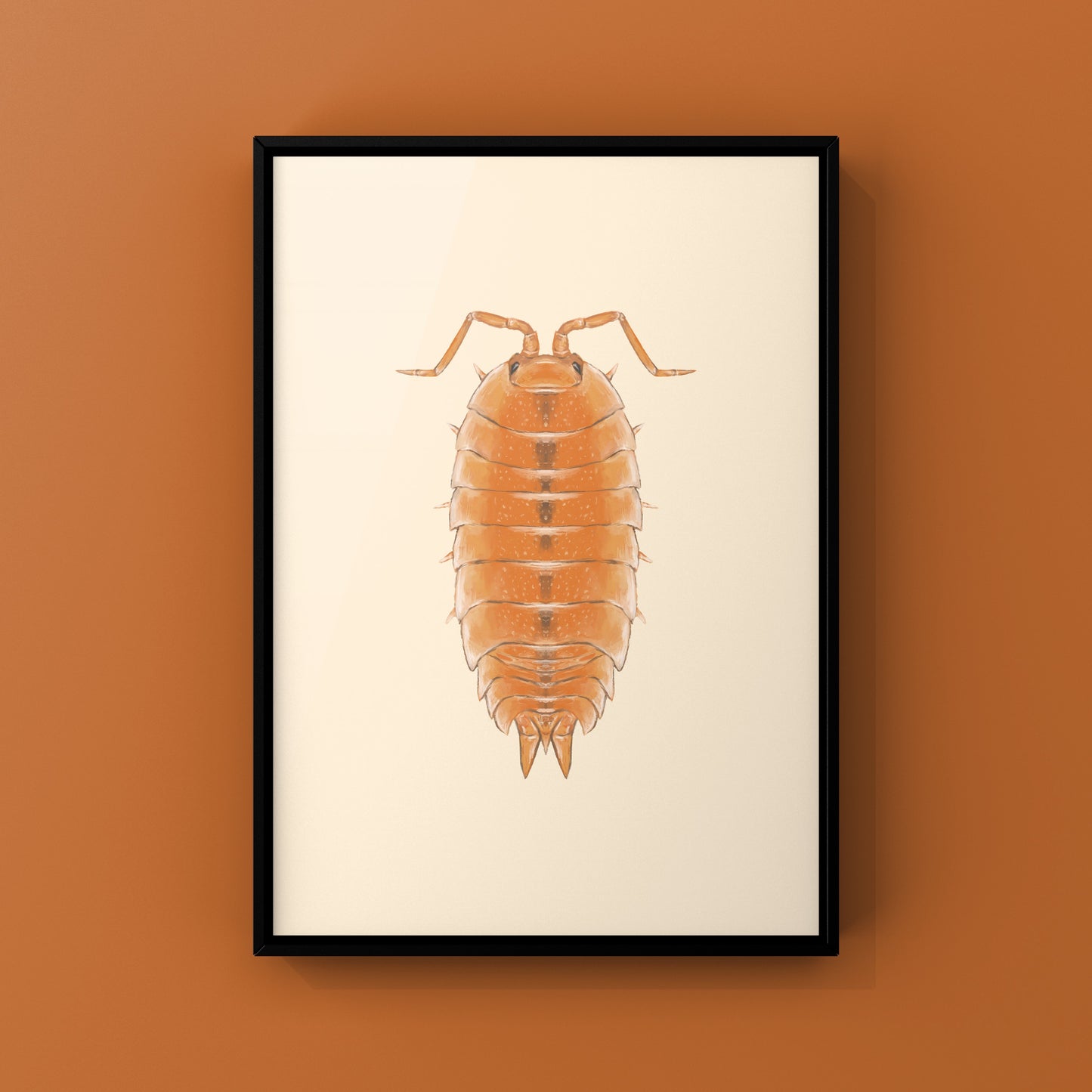 Orange Scaber Isopod, Porcellio Scaber Orange, Photographic Art Print
