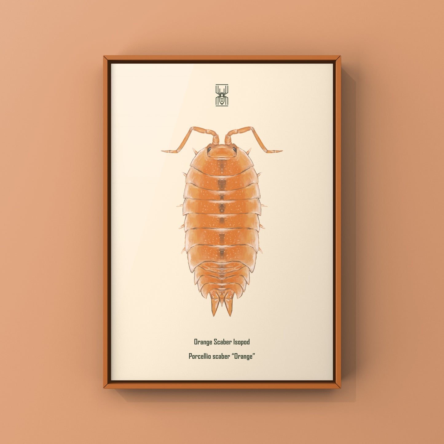 Orange Scaber Isopod, Porcellio Scaber Orange, Photographic Art Print