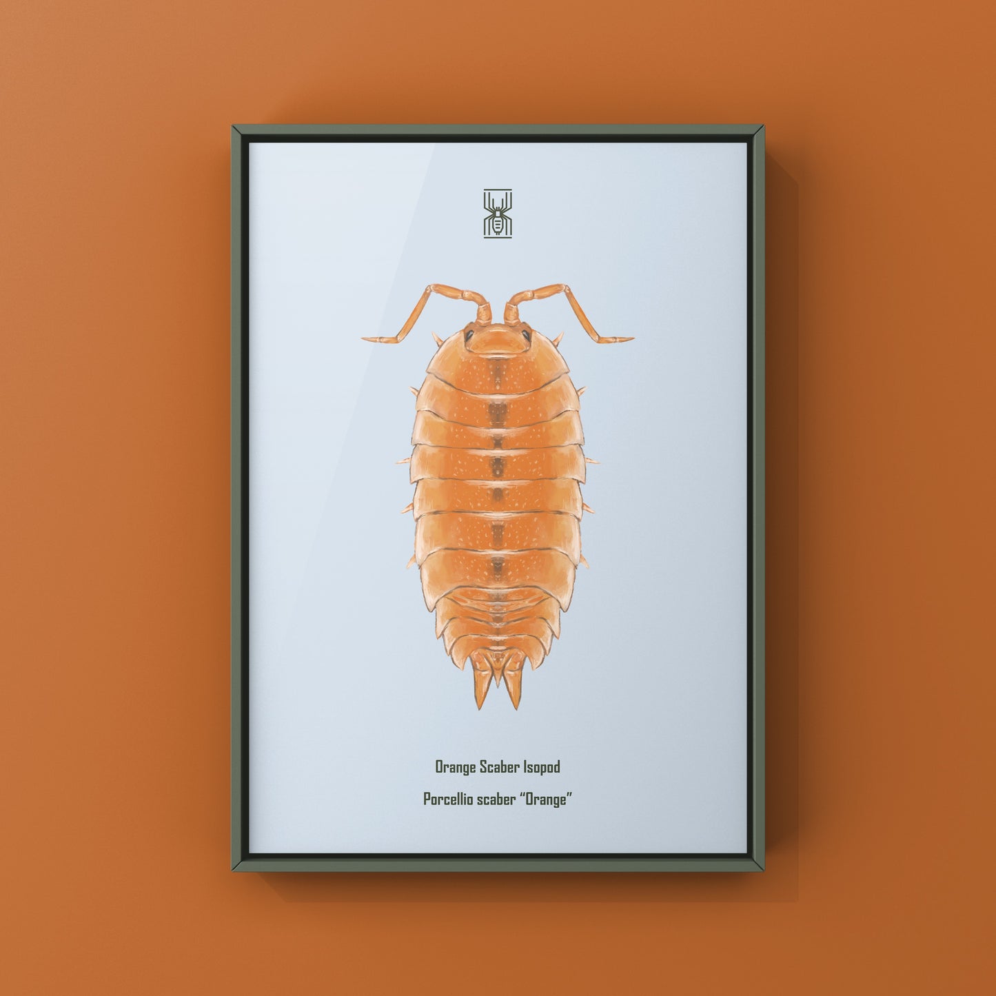 Orange Scaber Isopod, Porcellio Scaber Orange, Photographic Art Print