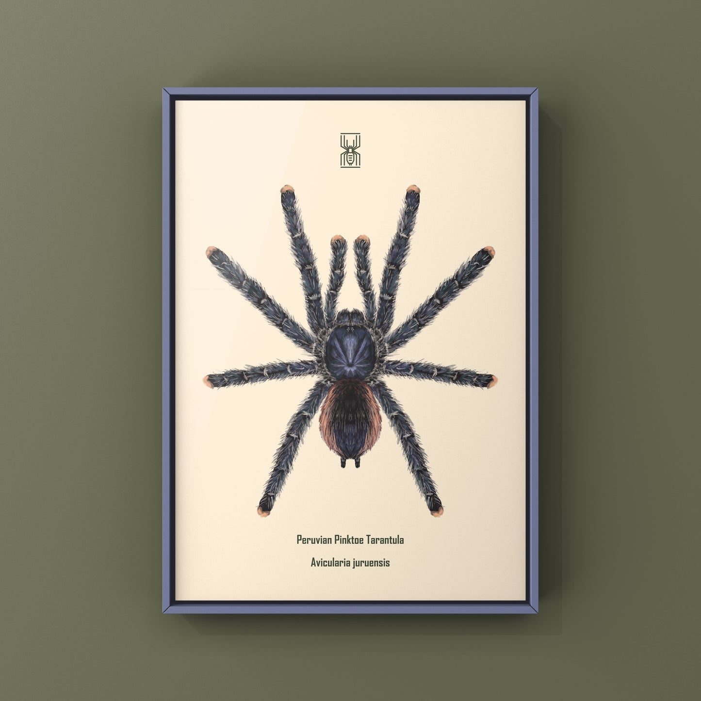 Peruvian Pinktoe Tarantula, Avicularia Juruensis, Photographic Art Print from The Silk Ranch