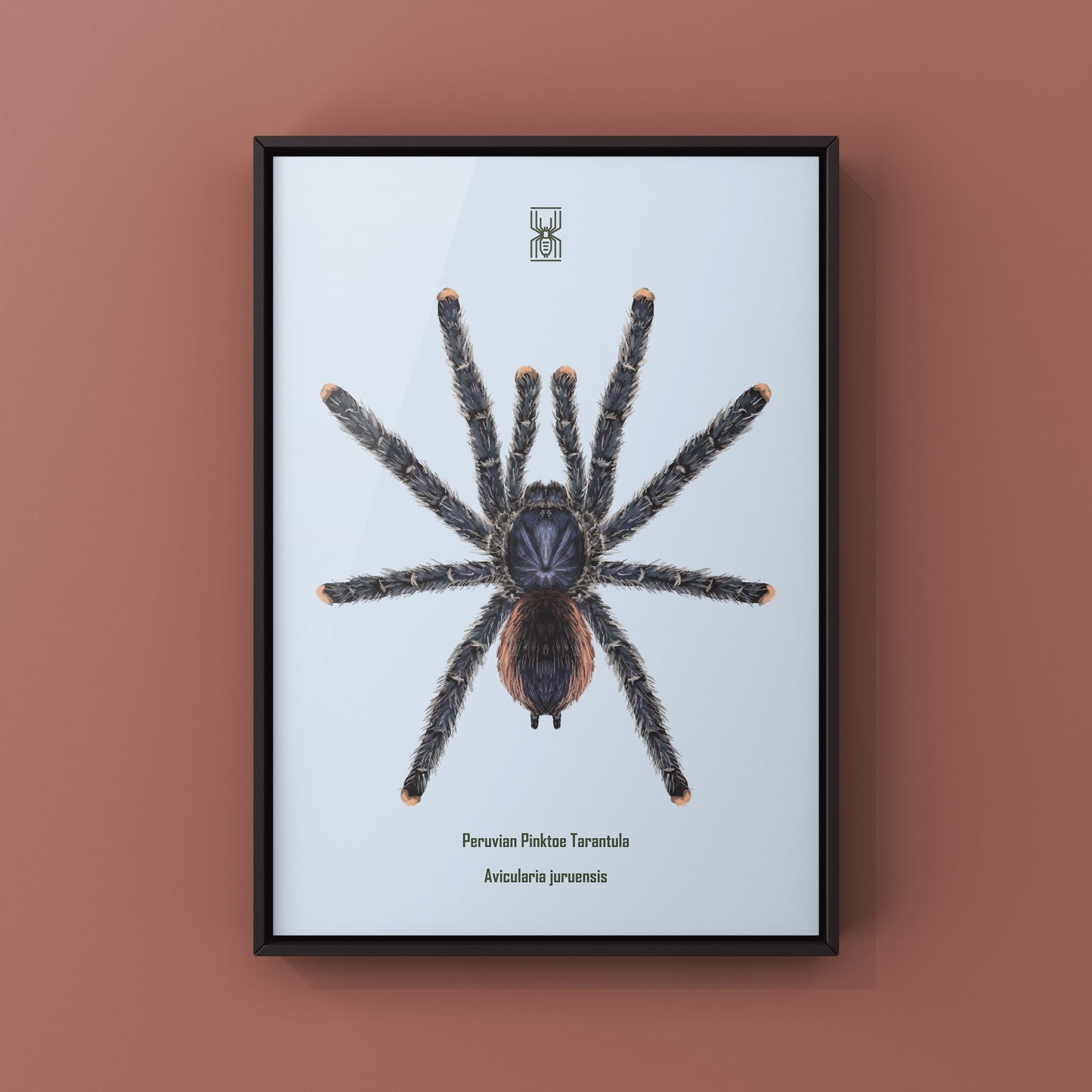 Peruvian Pinktoe Tarantula, Avicularia Juruensis, Photographic Art Print from The Silk Ranch