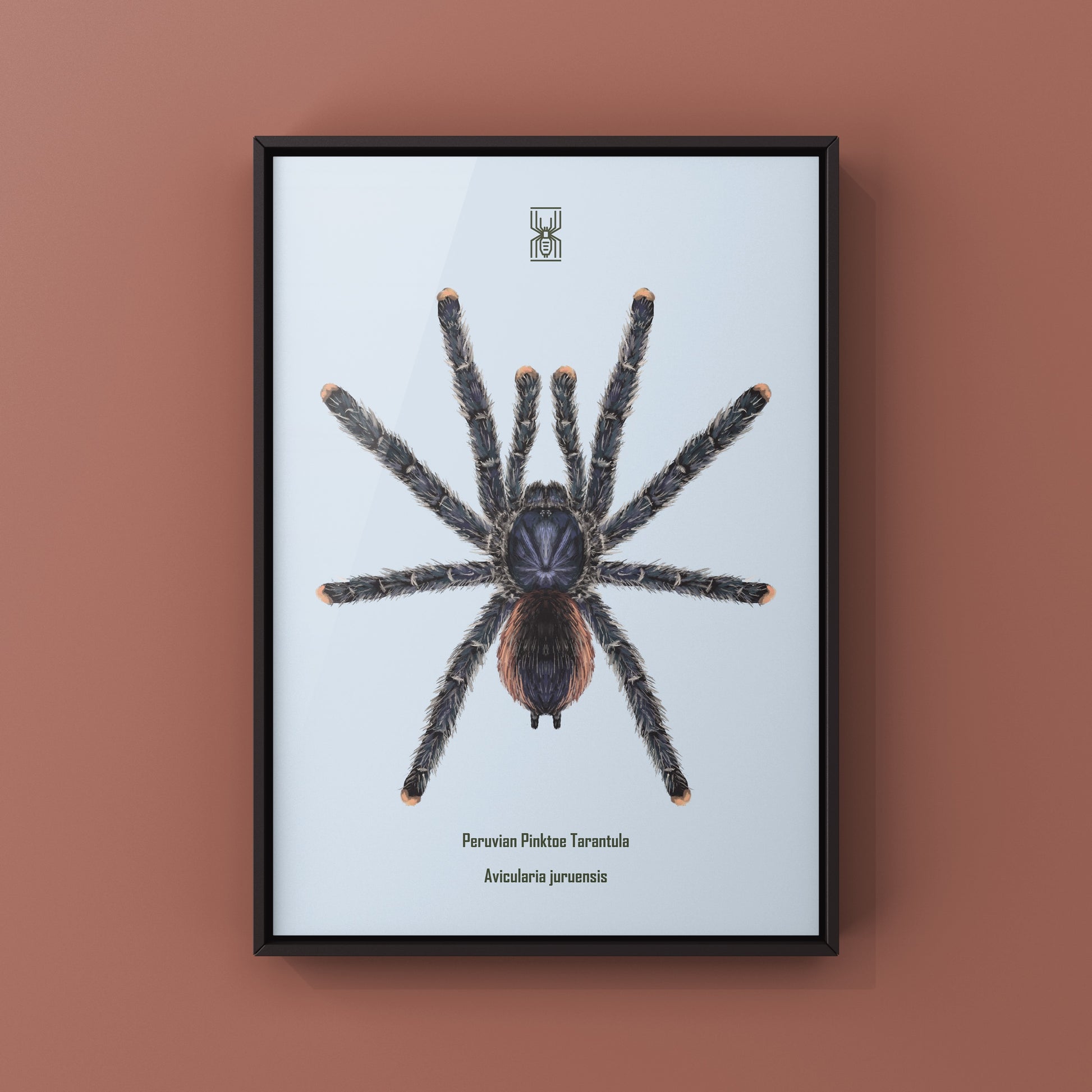 Peruvian Pinktoe Tarantula, Avicularia Juruensis, Photographic Art Print from The Silk Ranch