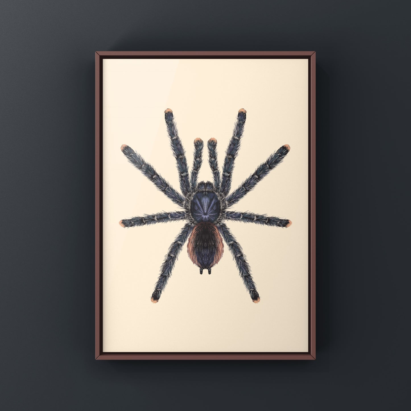 Peruvian Pinktoe Tarantula, Avicularia Juruensis, Photographic Art Print from The Silk Ranch