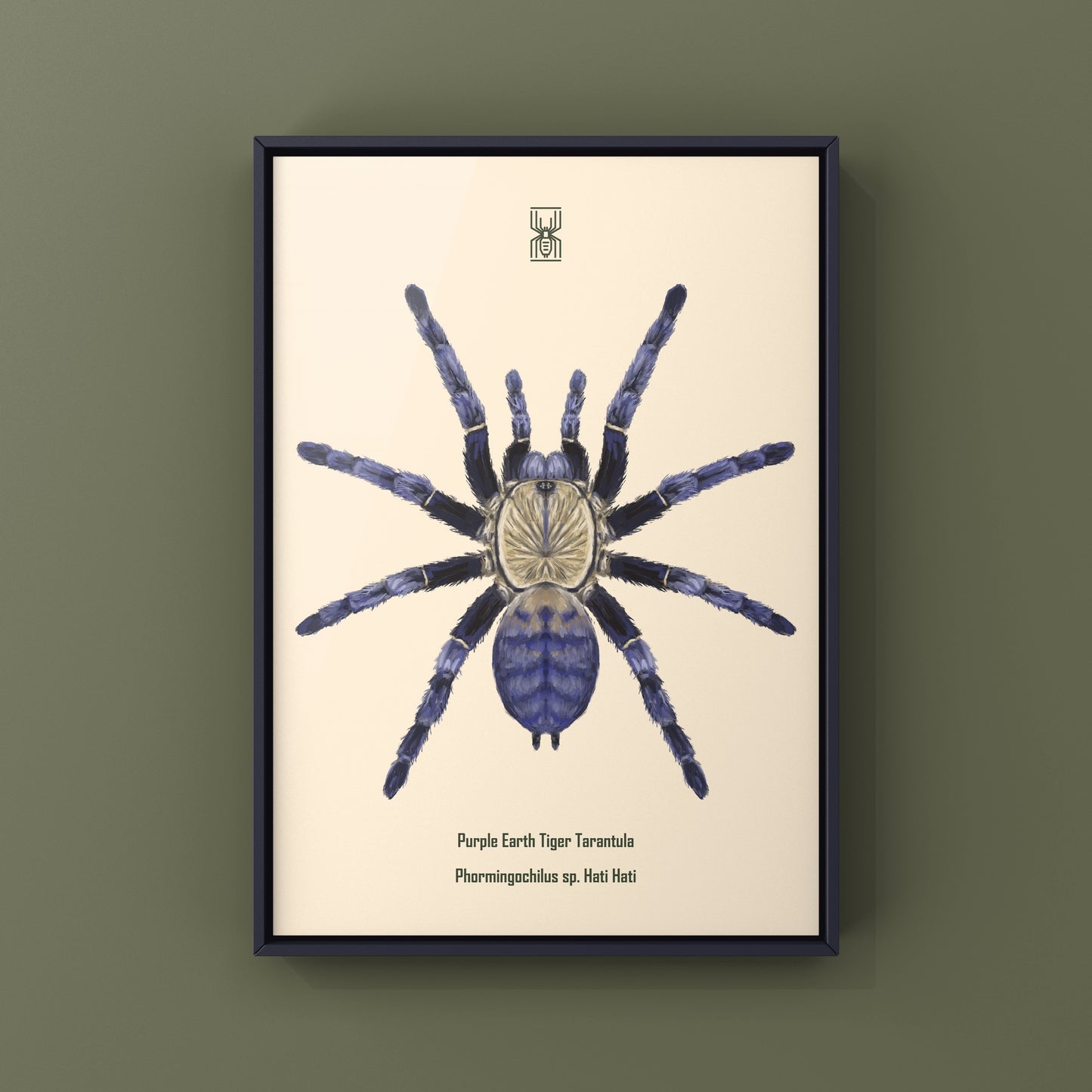 Purple Earth Tiger Tarantula, Phormingochilus Sp Hati Hati, Photographic Art Print