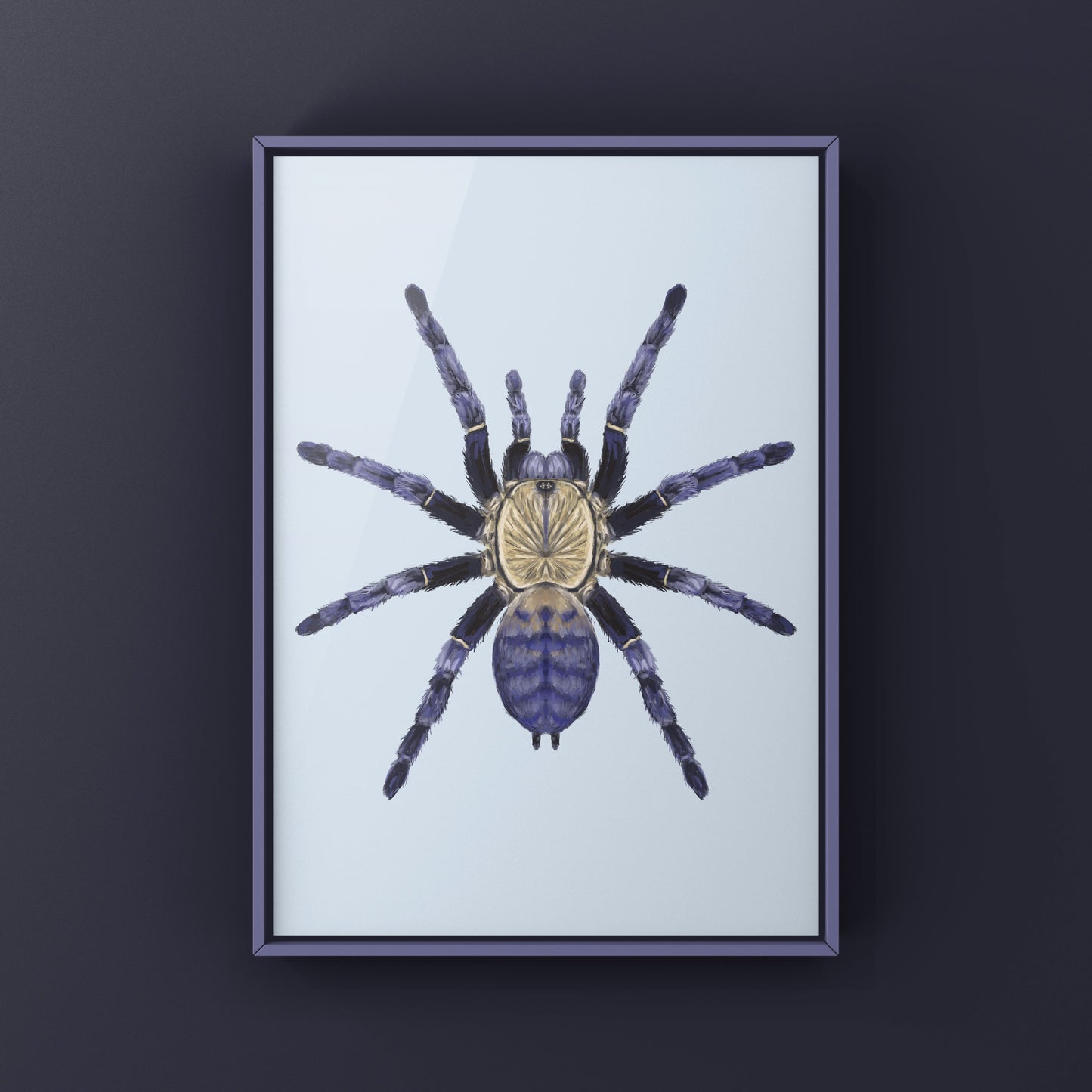 Purple Earth Tiger Tarantula, Phormingochilus Sp Hati Hati, Photographic Art Print