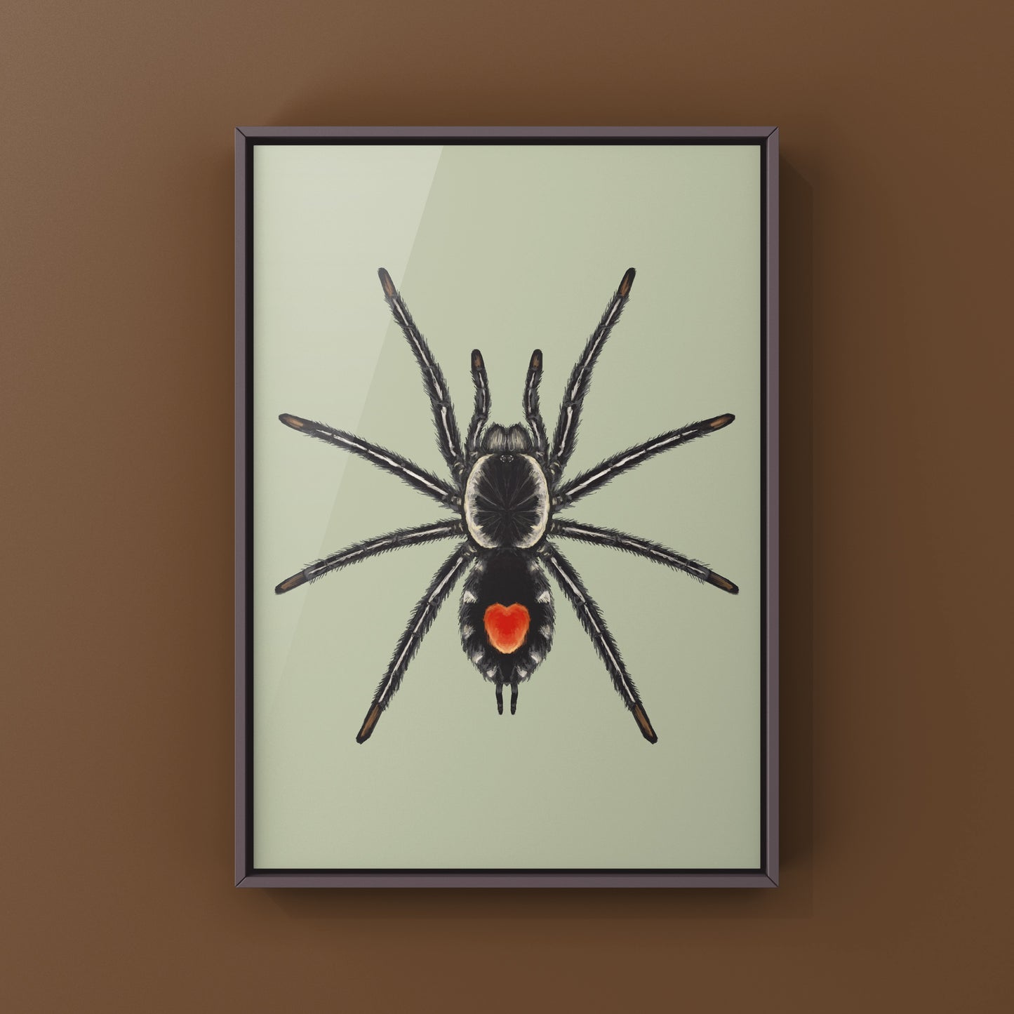 Redback Phantom Tarantula, Cyriocosmus Hoeferi, Photographic Art Print