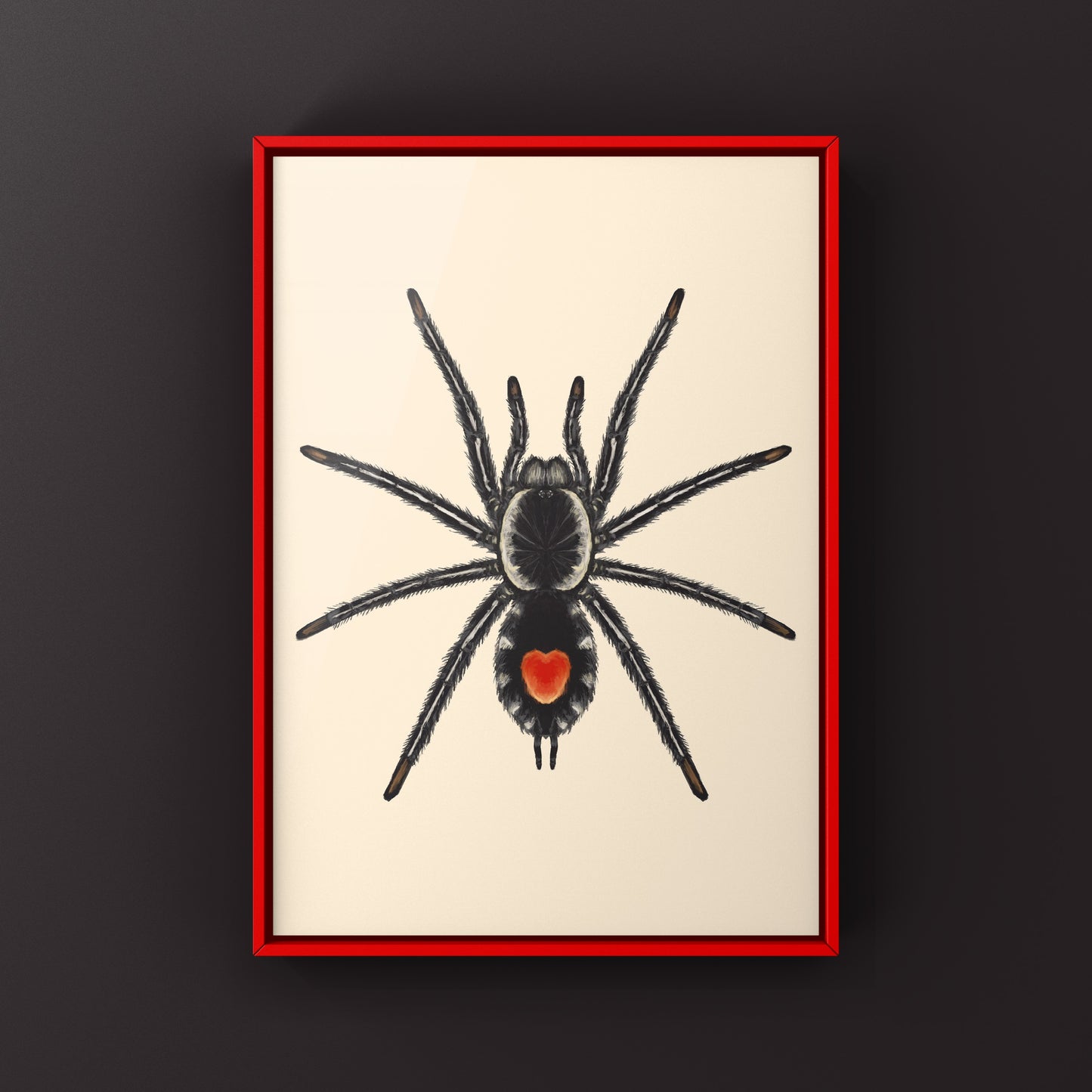 Redback Phantom Tarantula, Cyriocosmus Hoeferi, Photographic Art Print