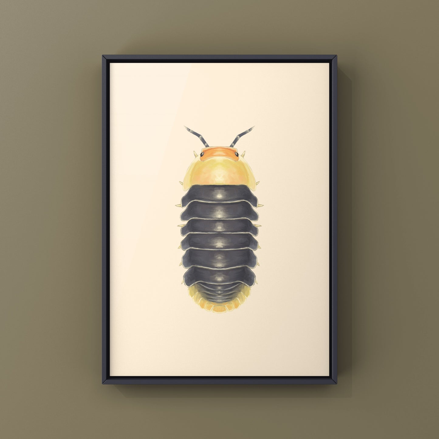 Rubber Ducky Isopod, Cubaris sp. Rubber Ducky, Photographic Art Print