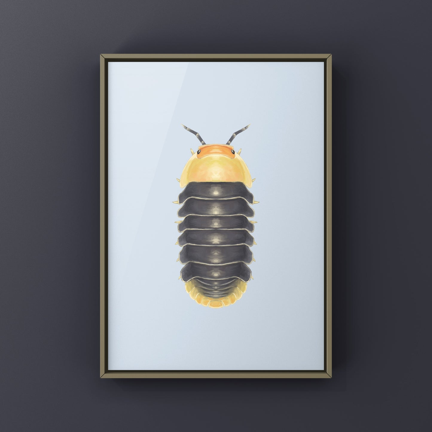 Rubber Ducky Isopod, Cubaris sp. Rubber Ducky, Photographic Art Print