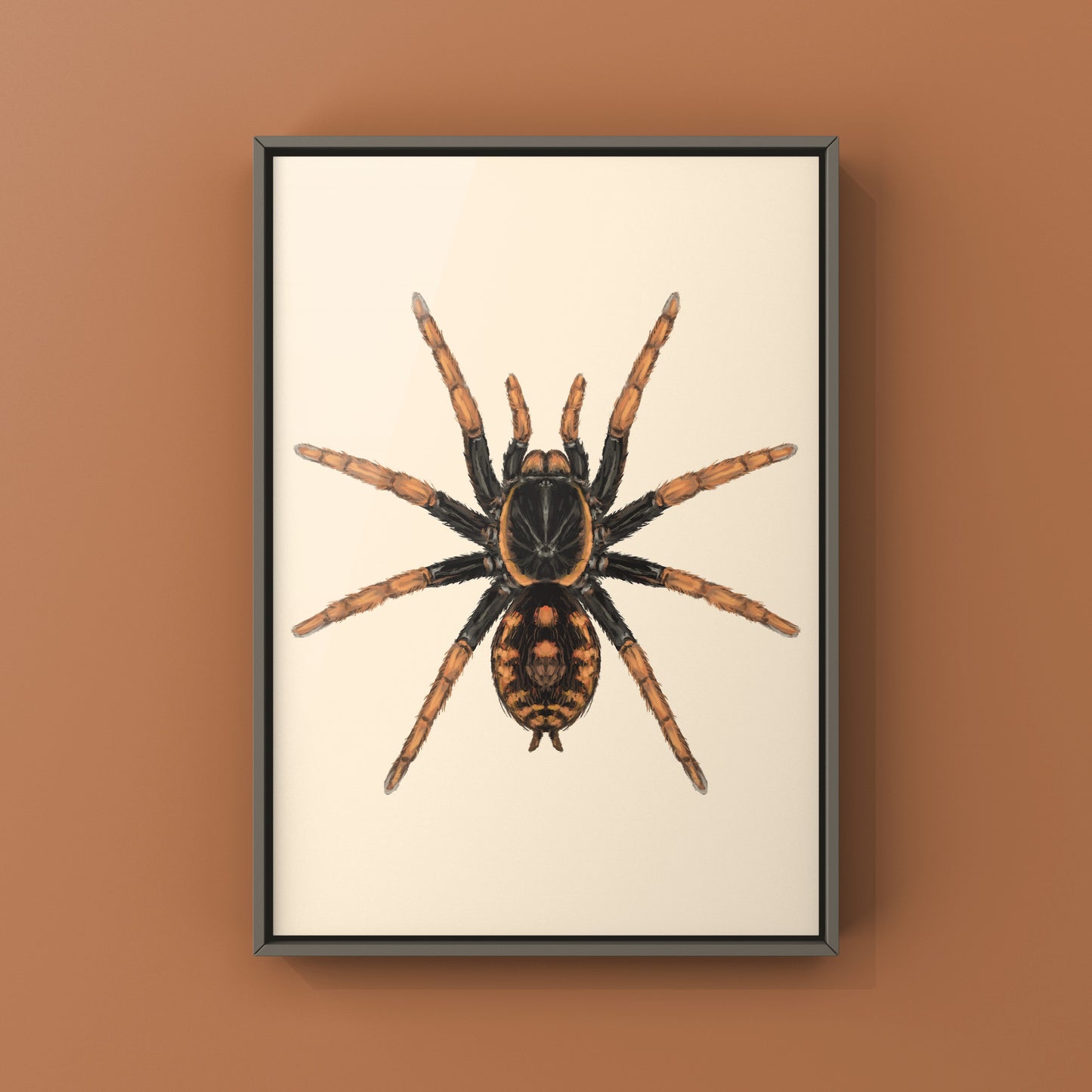 Speckle Patch Tarantula, Hapalopus Guerreroi, Photographic Art Print