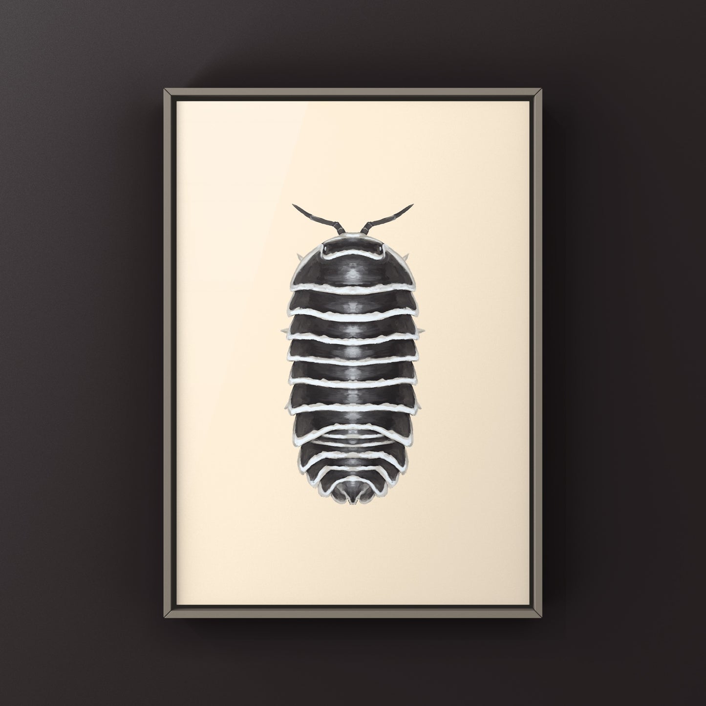 Zebra Isopod, Armadillidium Maculatum, Photographic Art Print