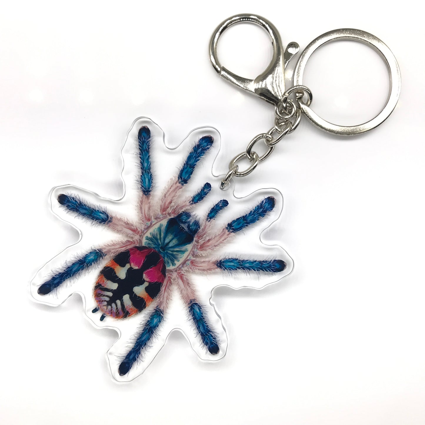 Brazilian Jewel Tarantula, Typhochlaena Seladonia Acrylic Keychain
