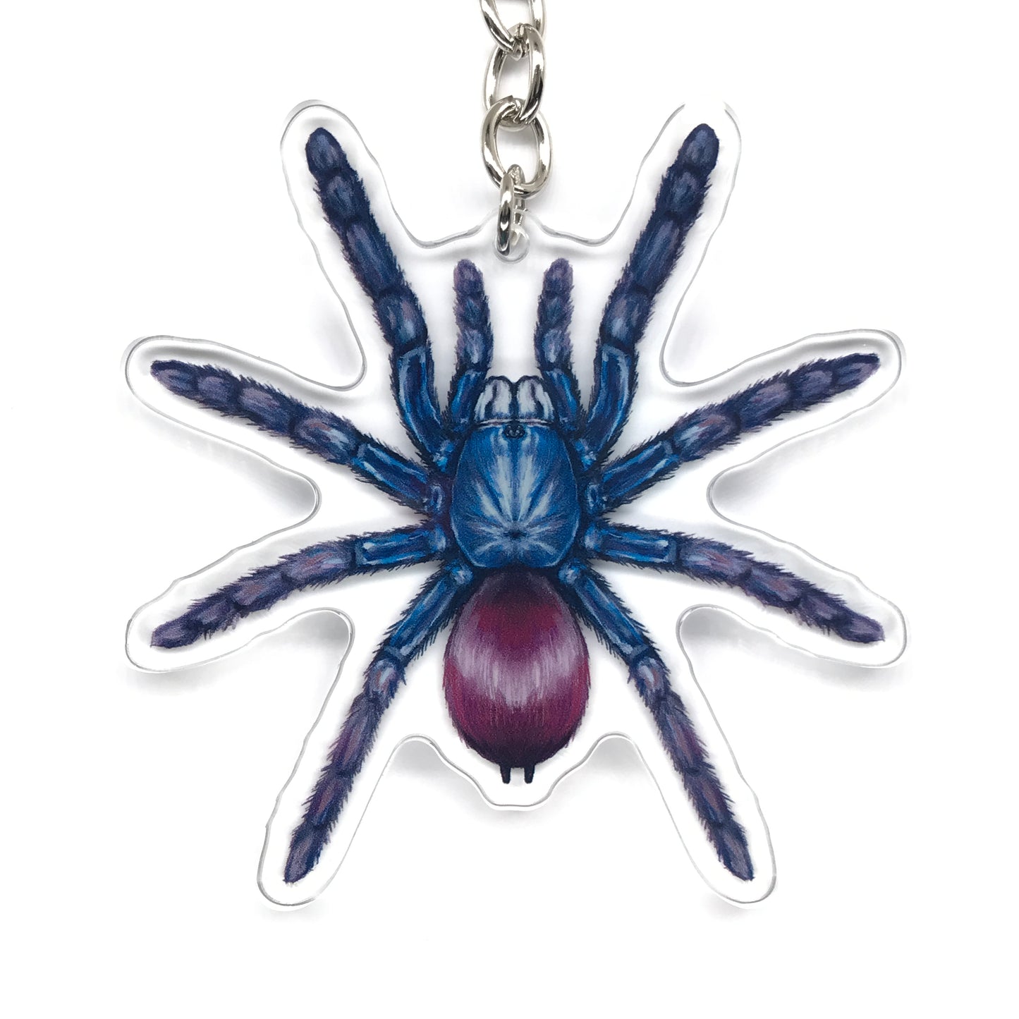 Indian Rainbow Tarantula, Cilantica Devamatha Acrylic Keychain