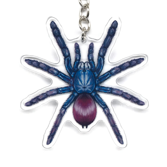 Indian Rainbow Tarantula, Cyriocosmus Ritae Acrylic Keychain