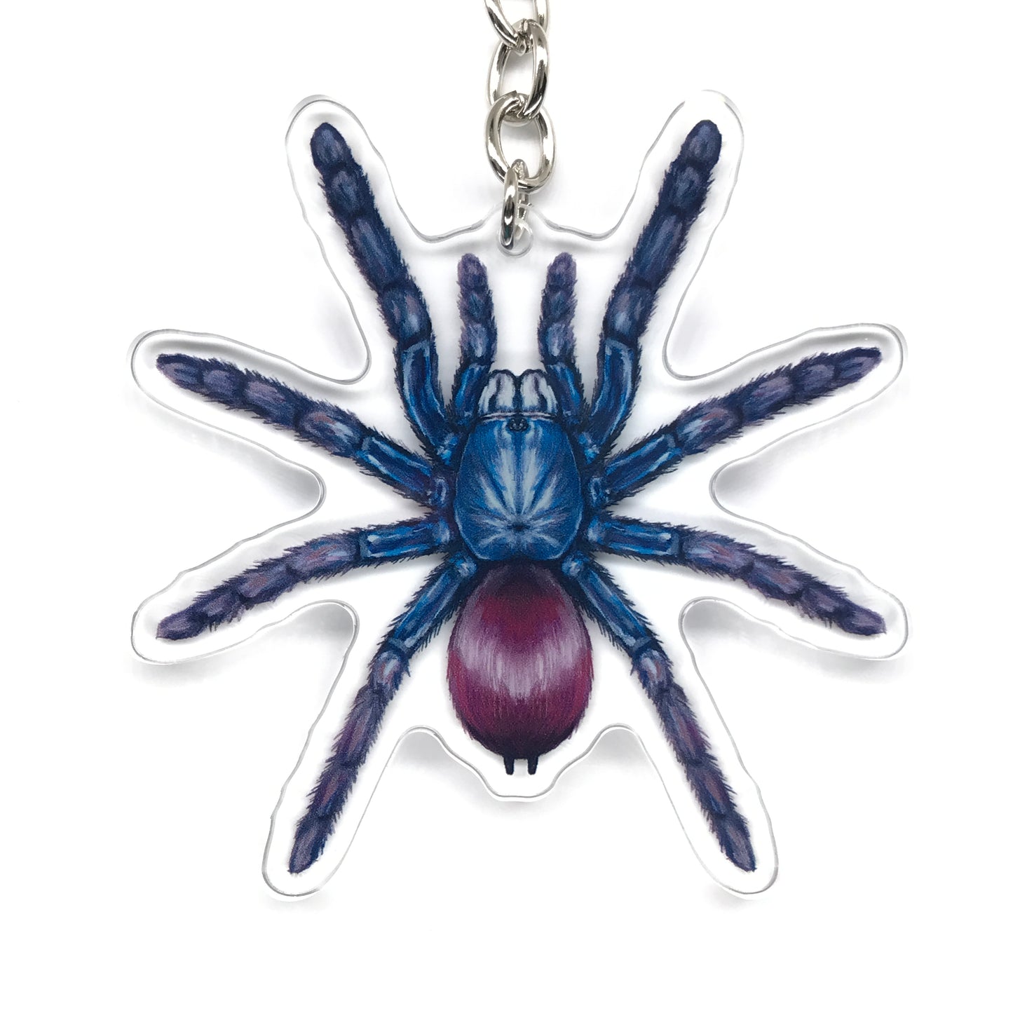Indian Rainbow Tarantula, Cilantica Devamatha Acrylic Keychain
