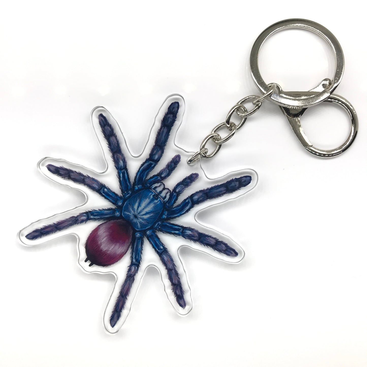 Indian Rainbow Tarantula, Cilantica Devamatha Acrylic Keychain